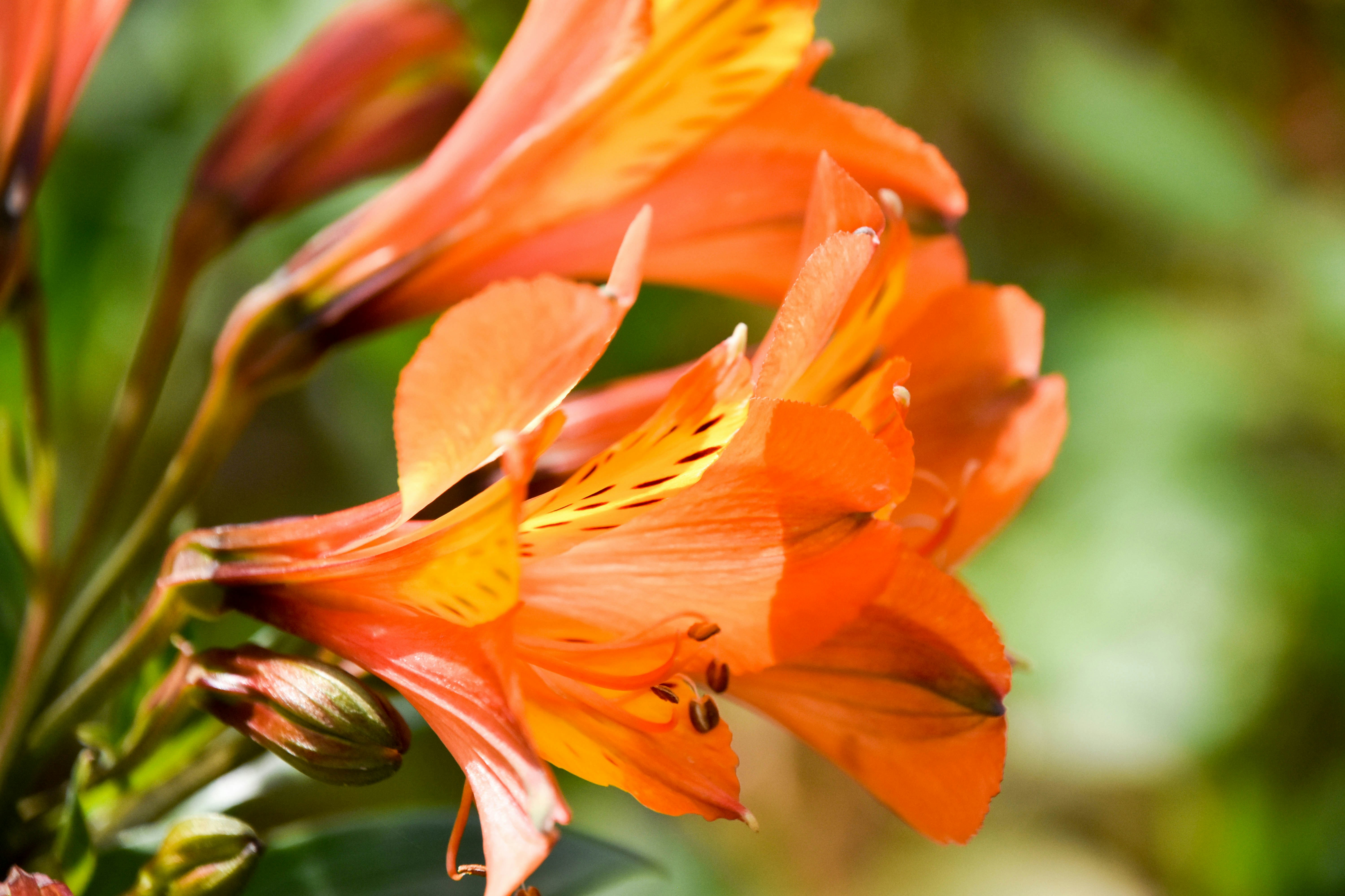 Photo by capt_seaman