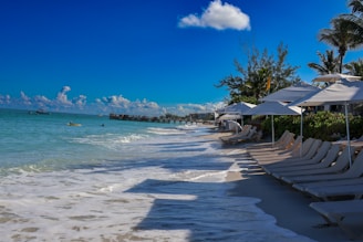 A row of beach chairs sitting on top of a sandy beach