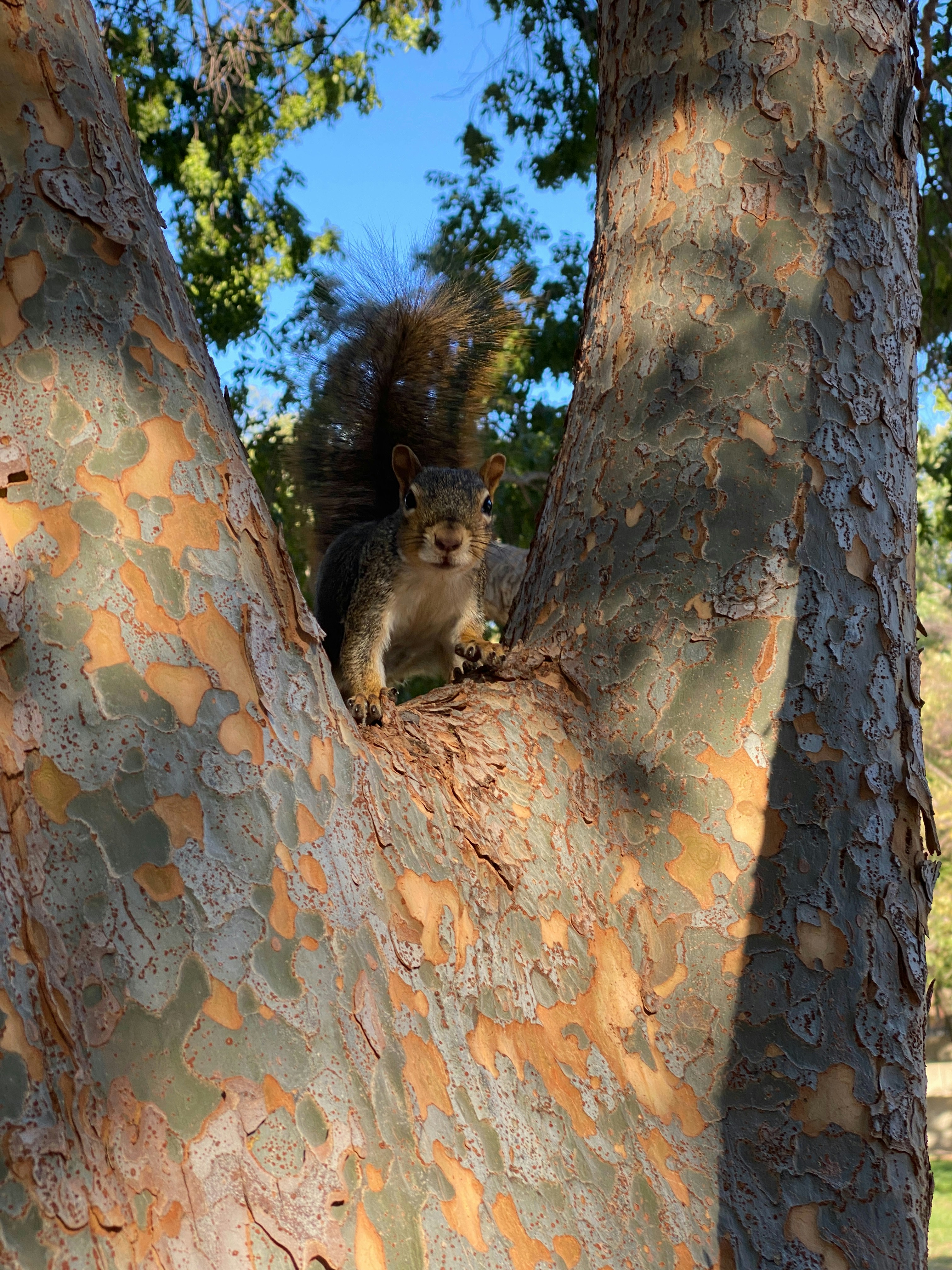 Photo by americanjael