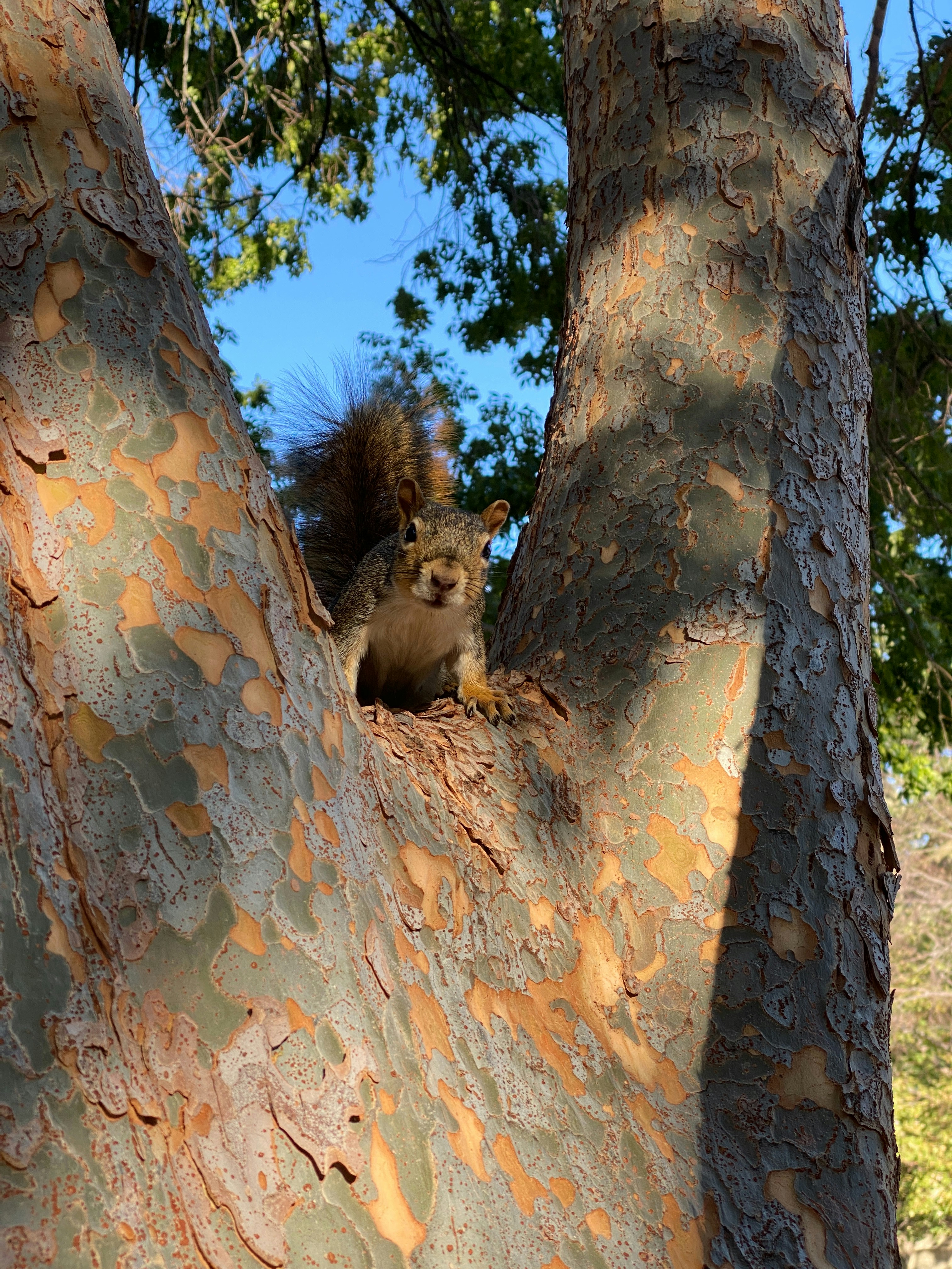 Photo by americanjael