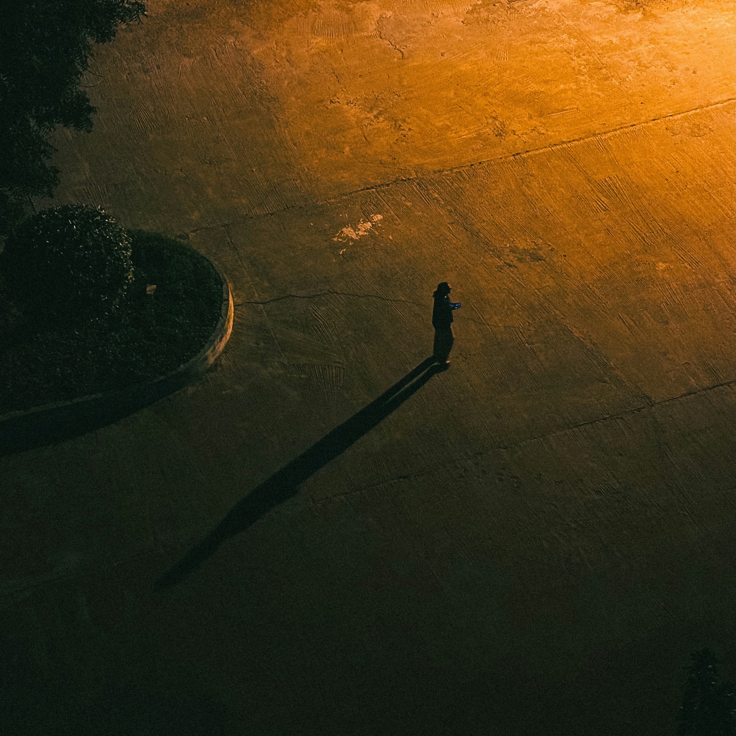 Photo by shaggy_mamba_23