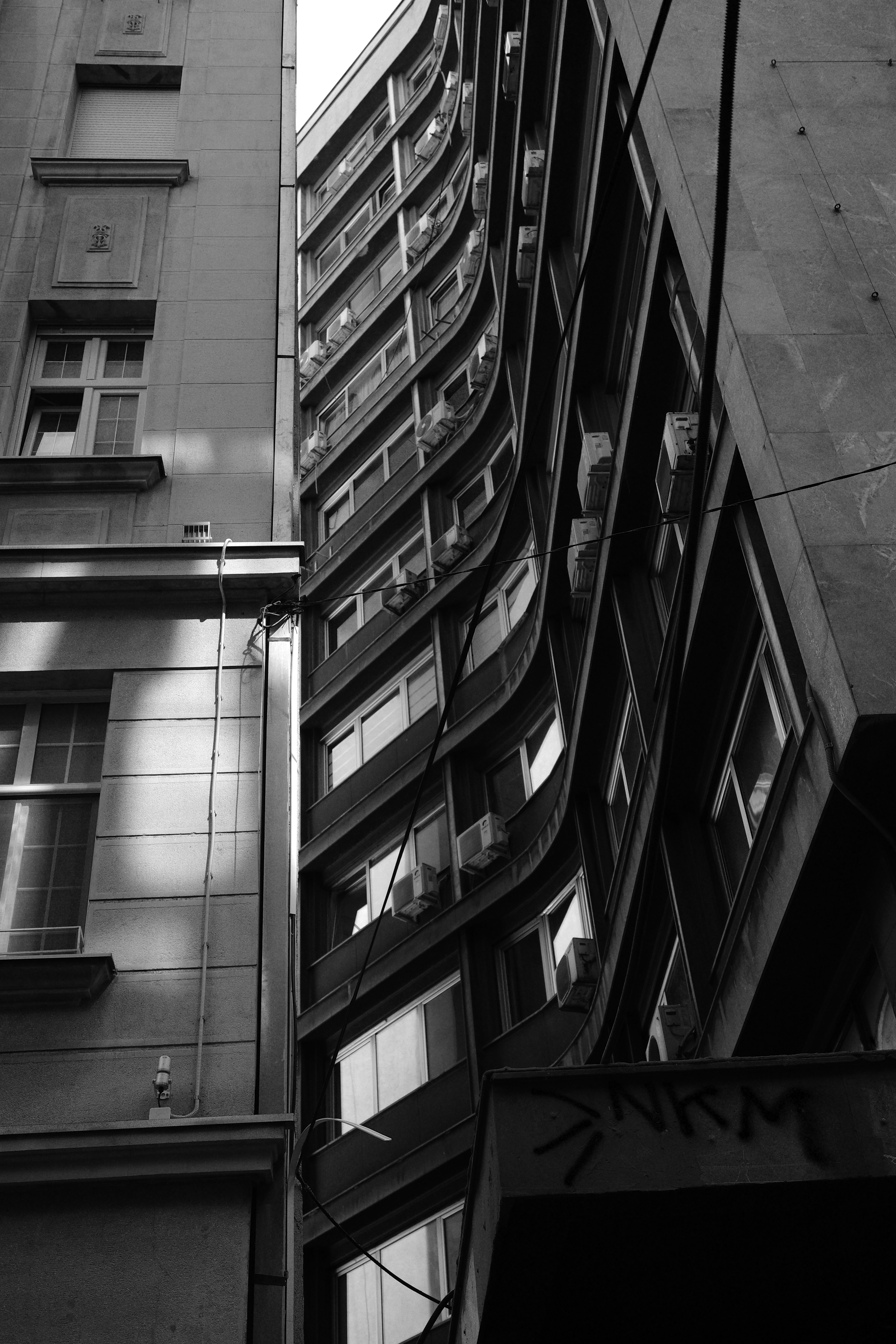 Photo by dmitrii_filatov