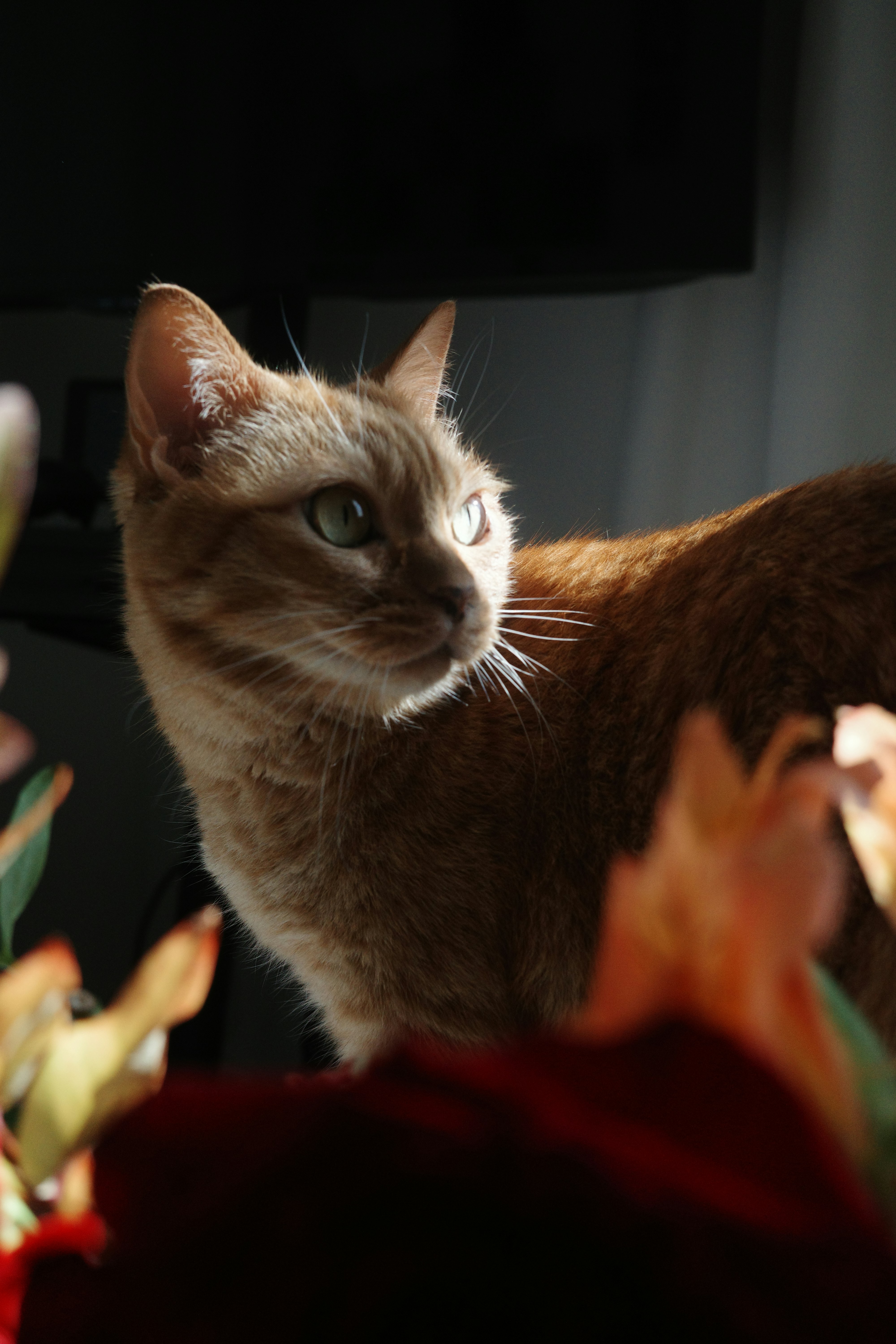 Photo by mathi0829lda