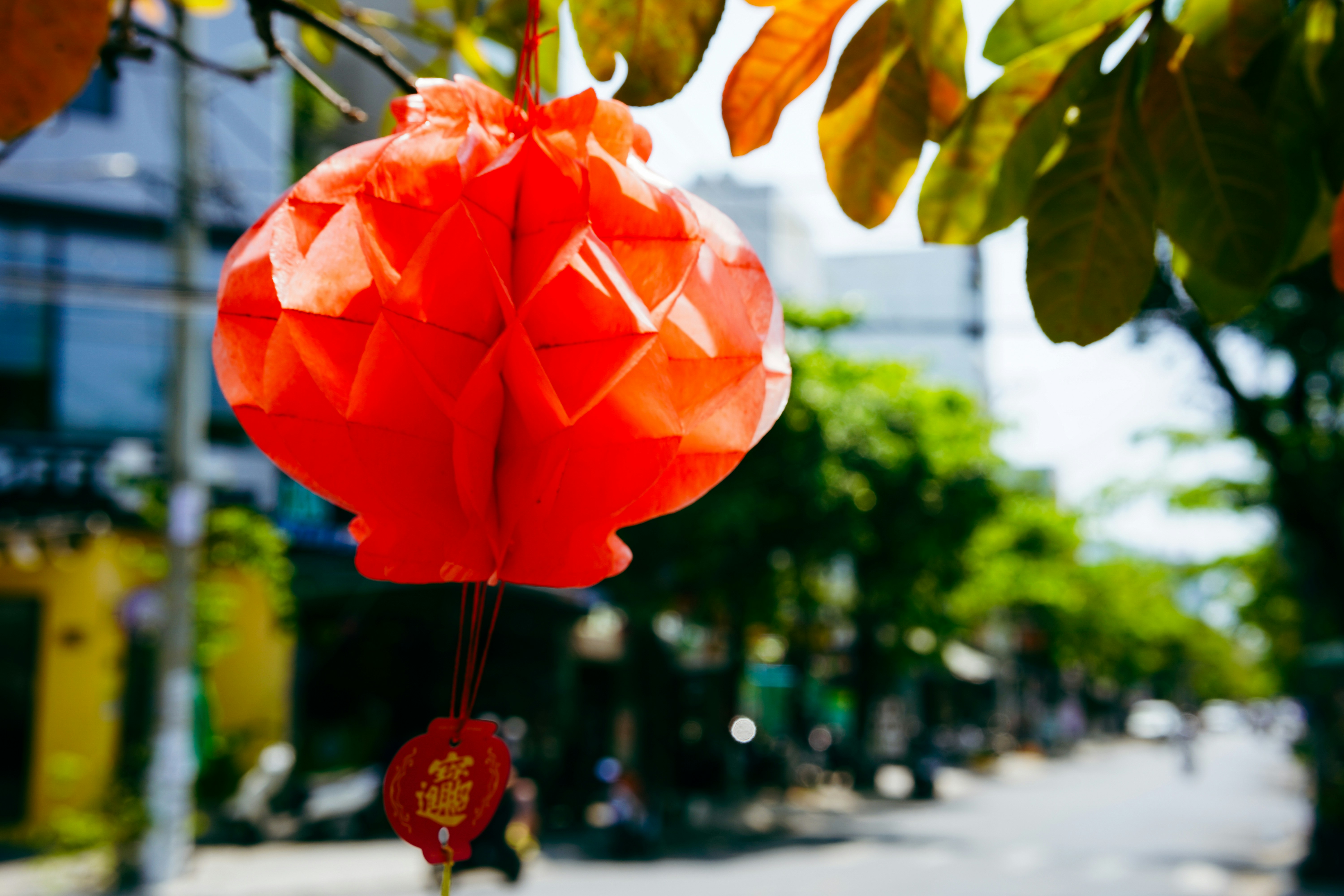 A red paper lantern hanging from a tree