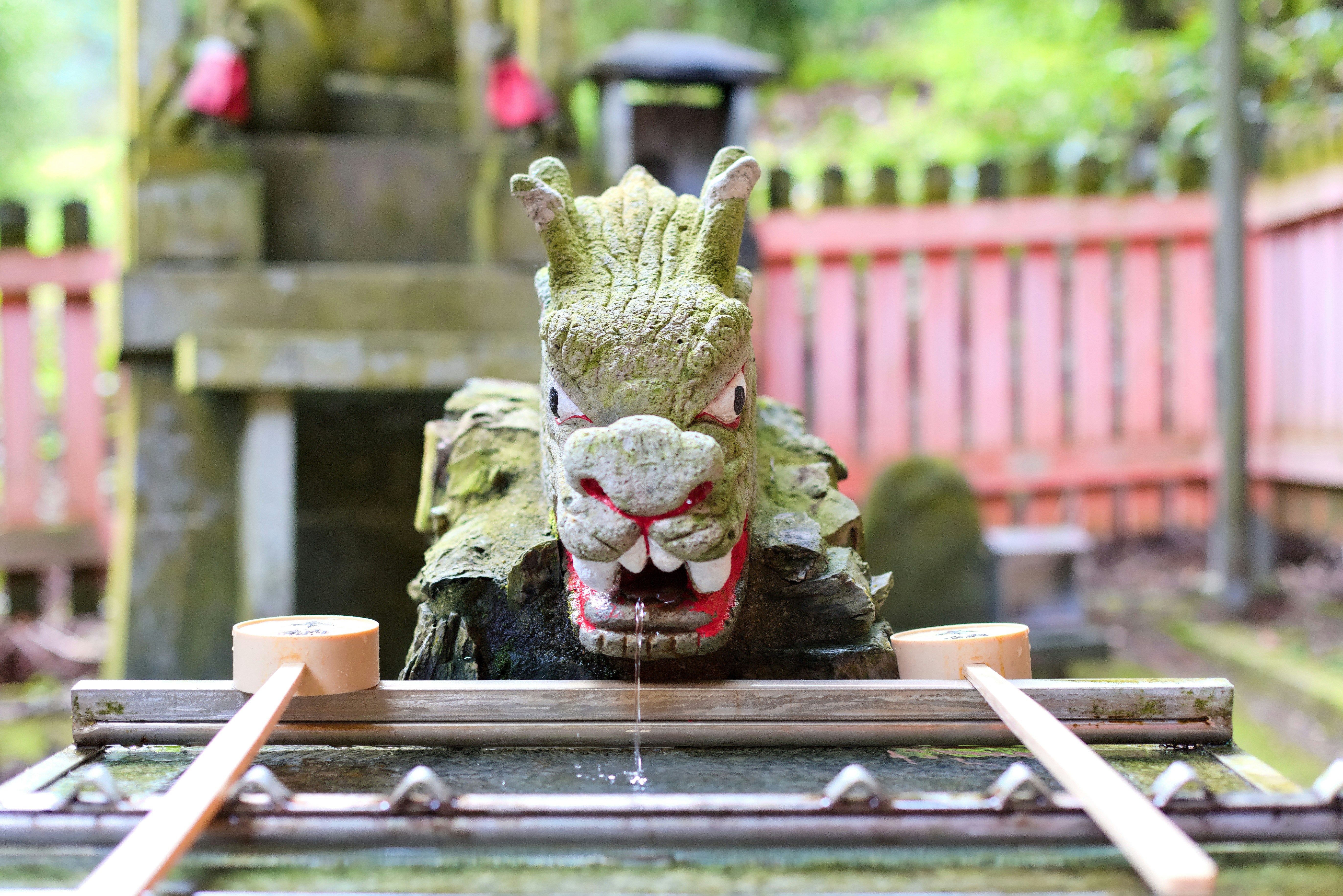 Person performing temizuya purification ritual at a Japanese shrine