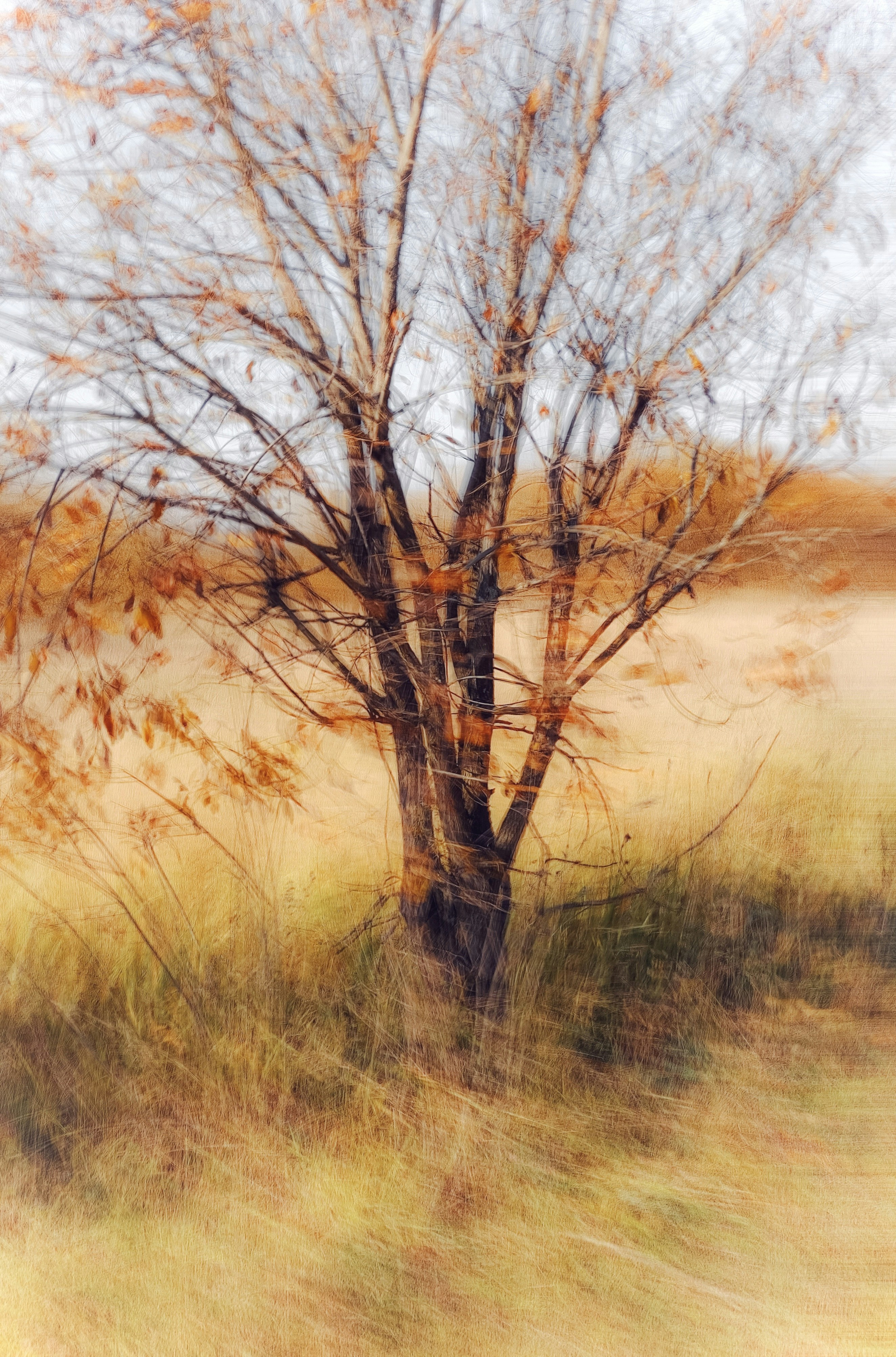 Photo by eugene_golovesov