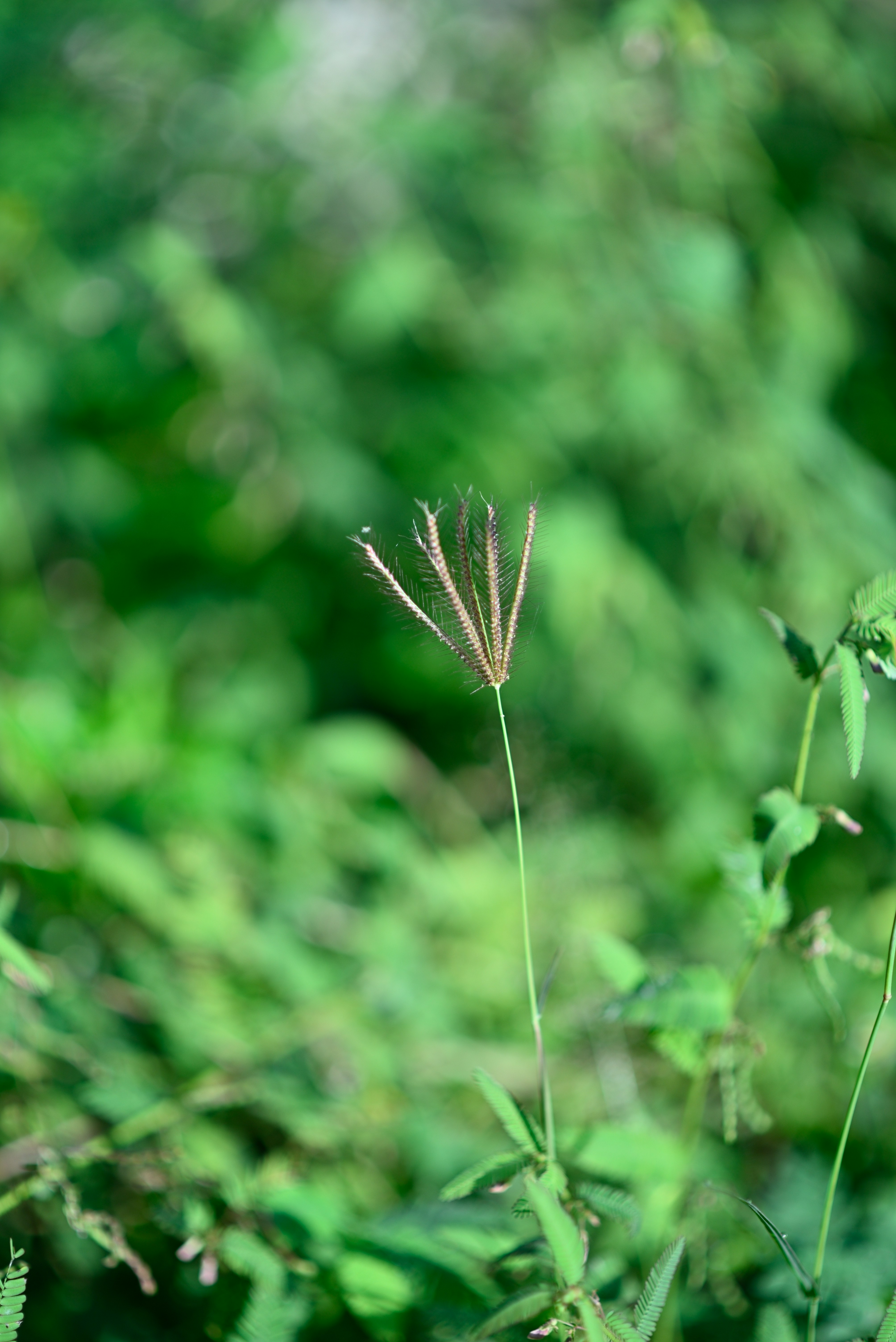 Photo by saptarangphotography