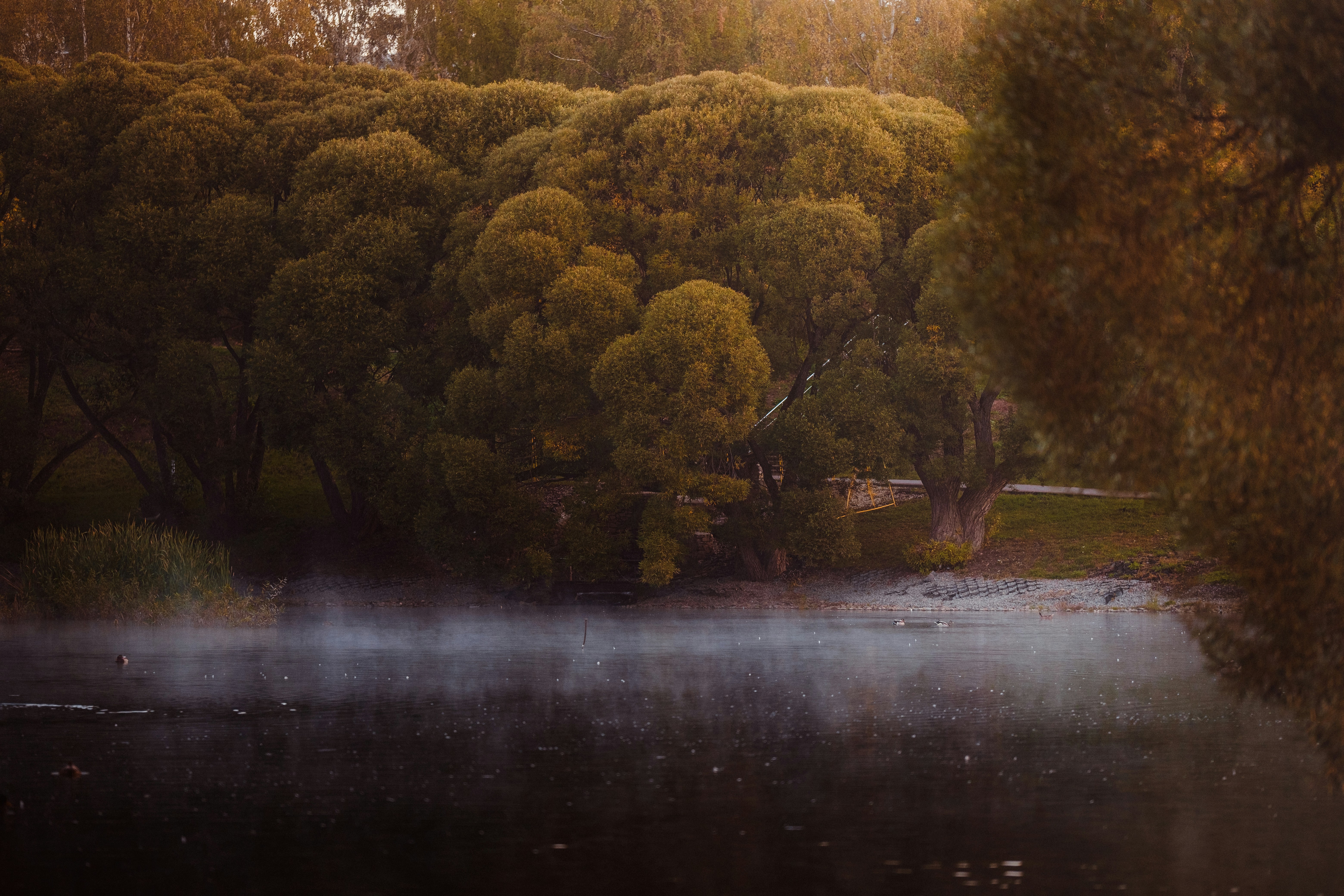 Photo by kazusaki_sagar