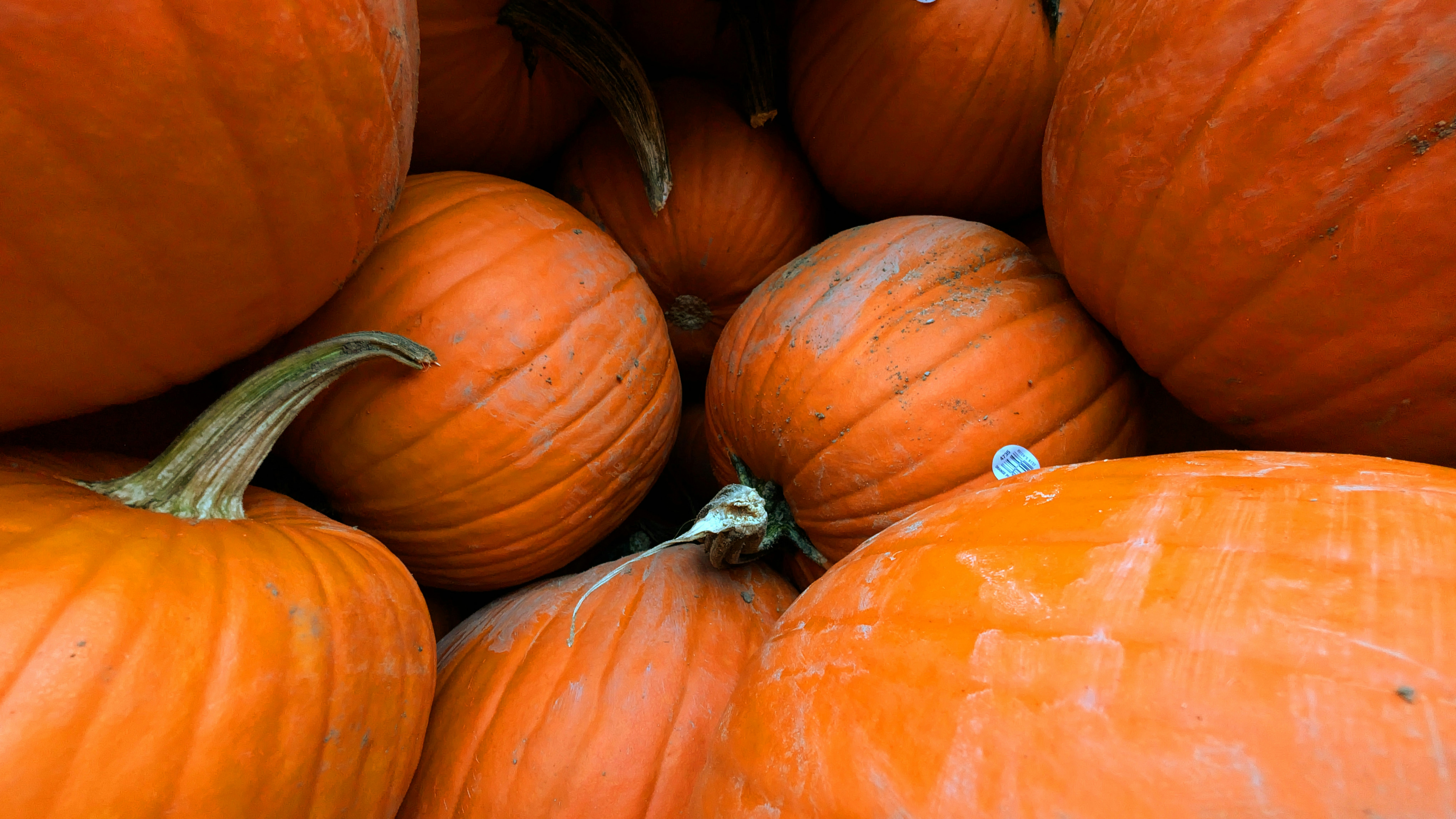 Photo by rigel_s_lens