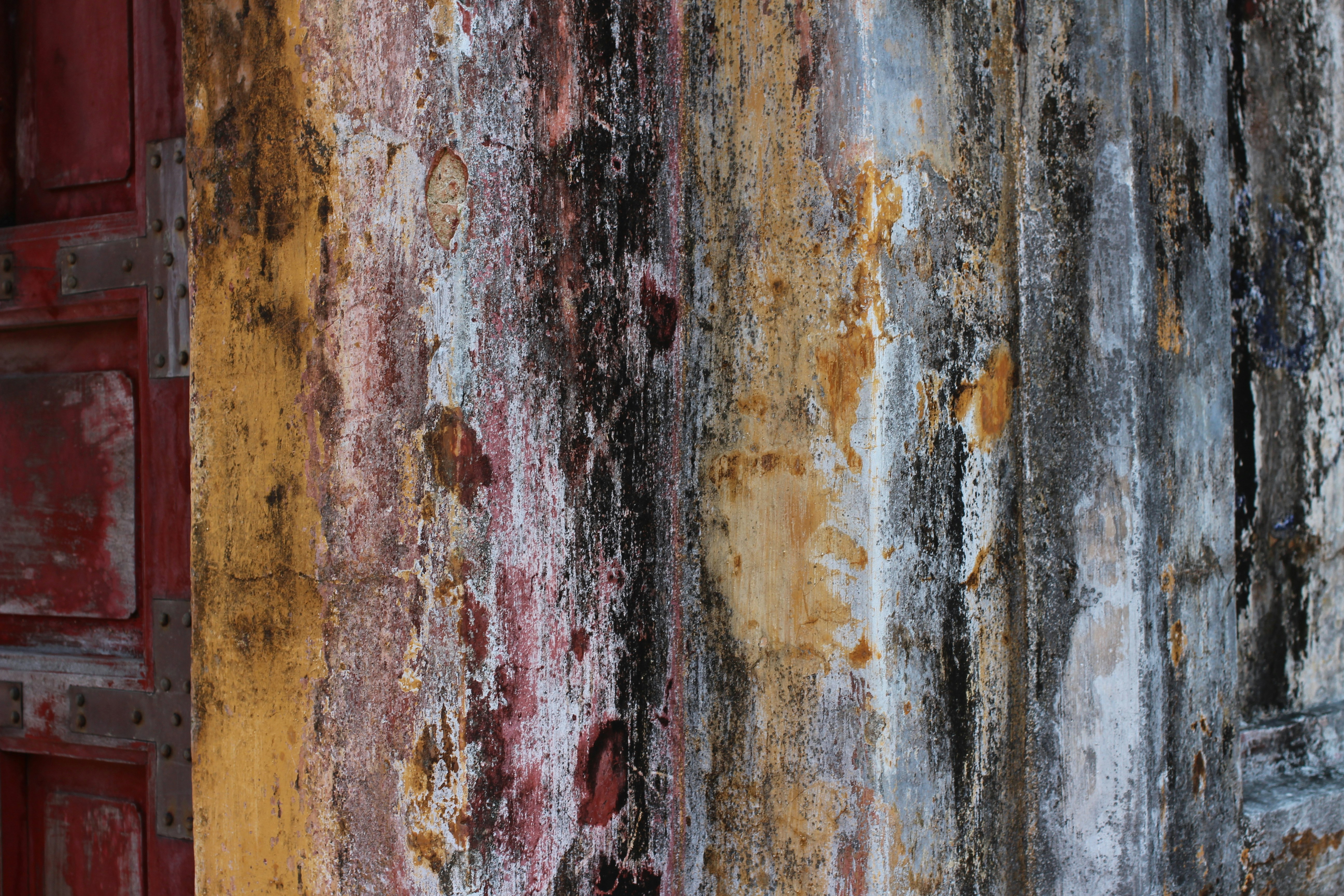 Photo by mallorcanrelish