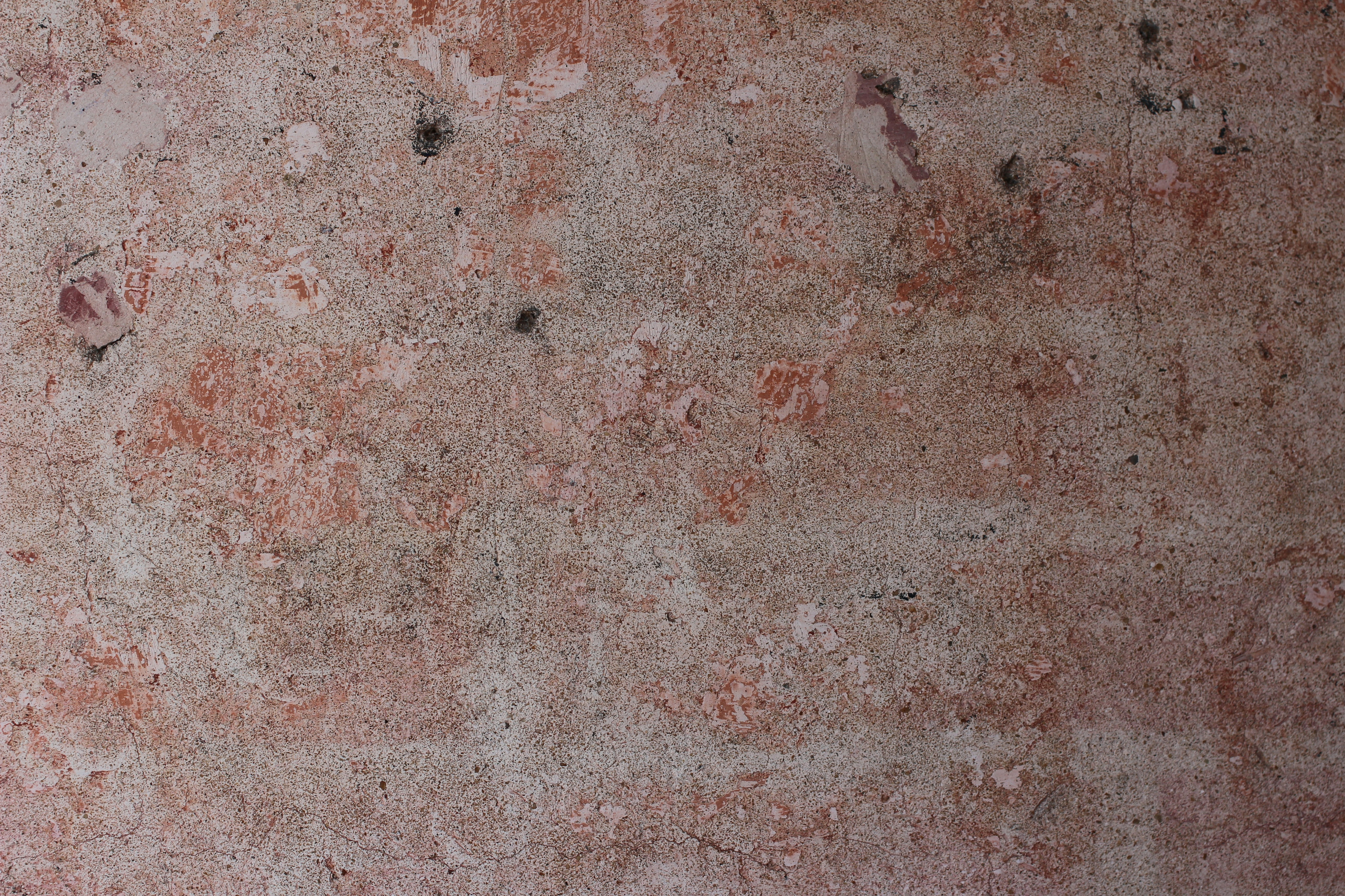 Photo by mallorcanrelish