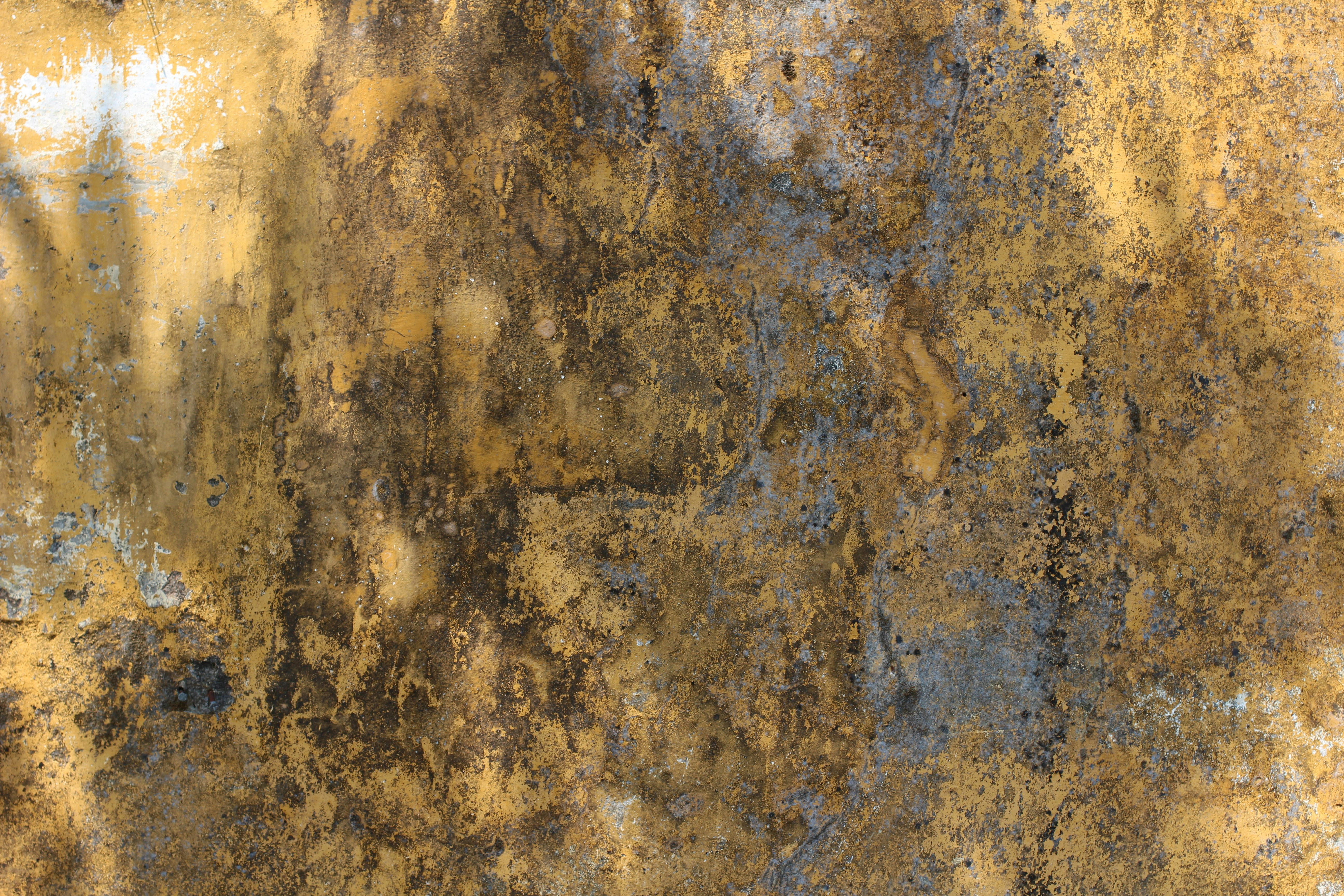 Photo by mallorcanrelish