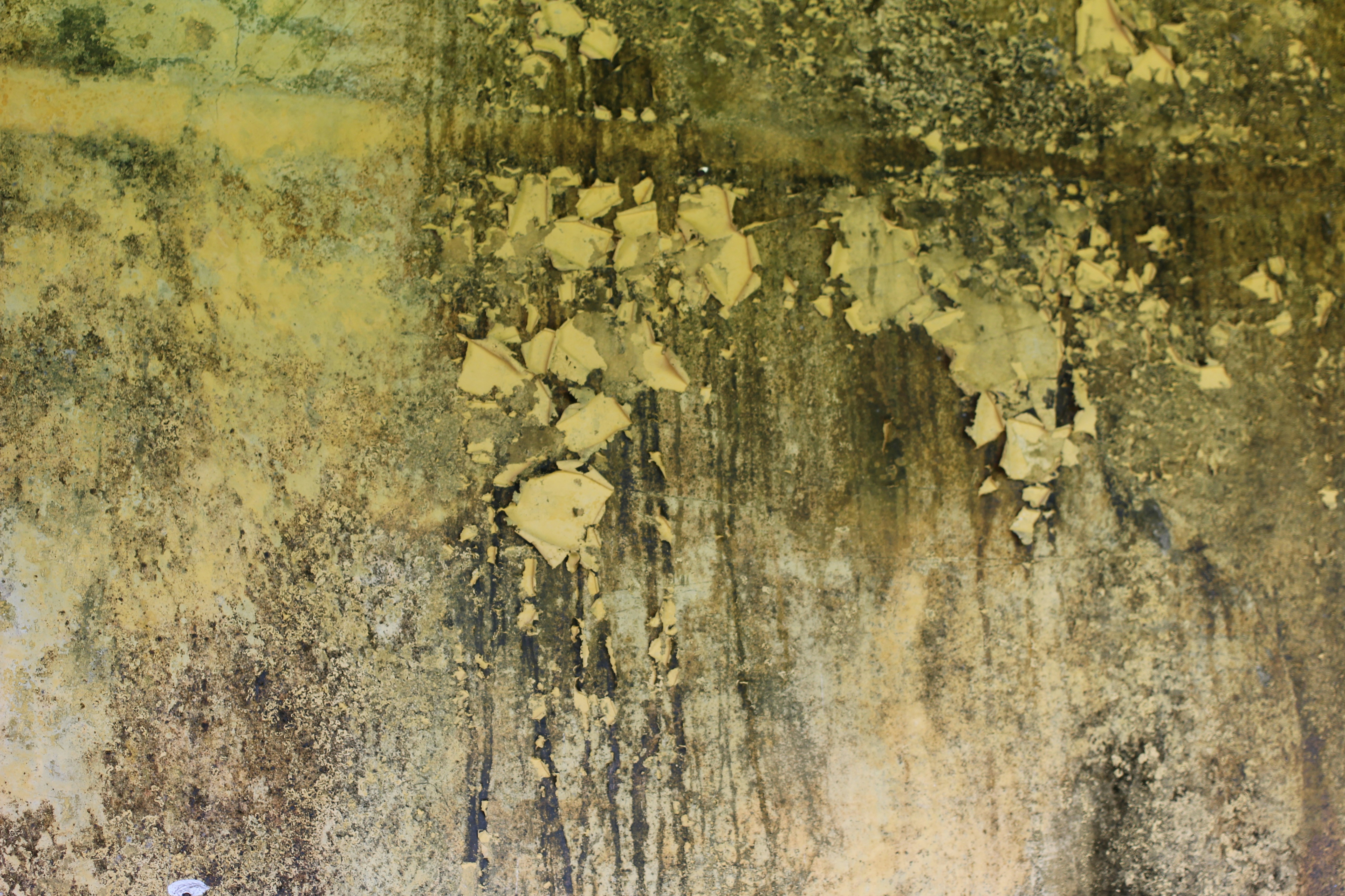 Photo by mallorcanrelish