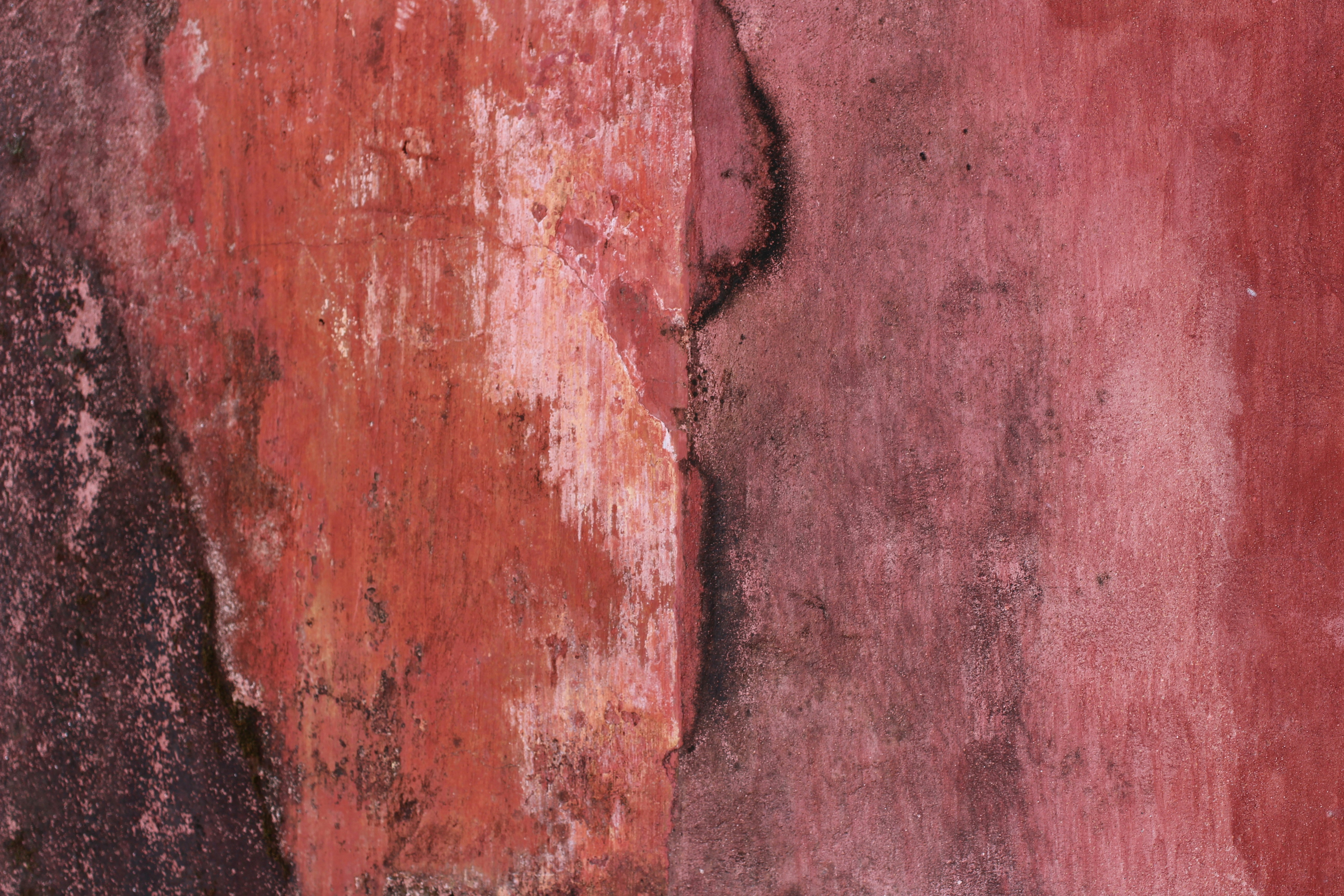 Photo by mallorcanrelish