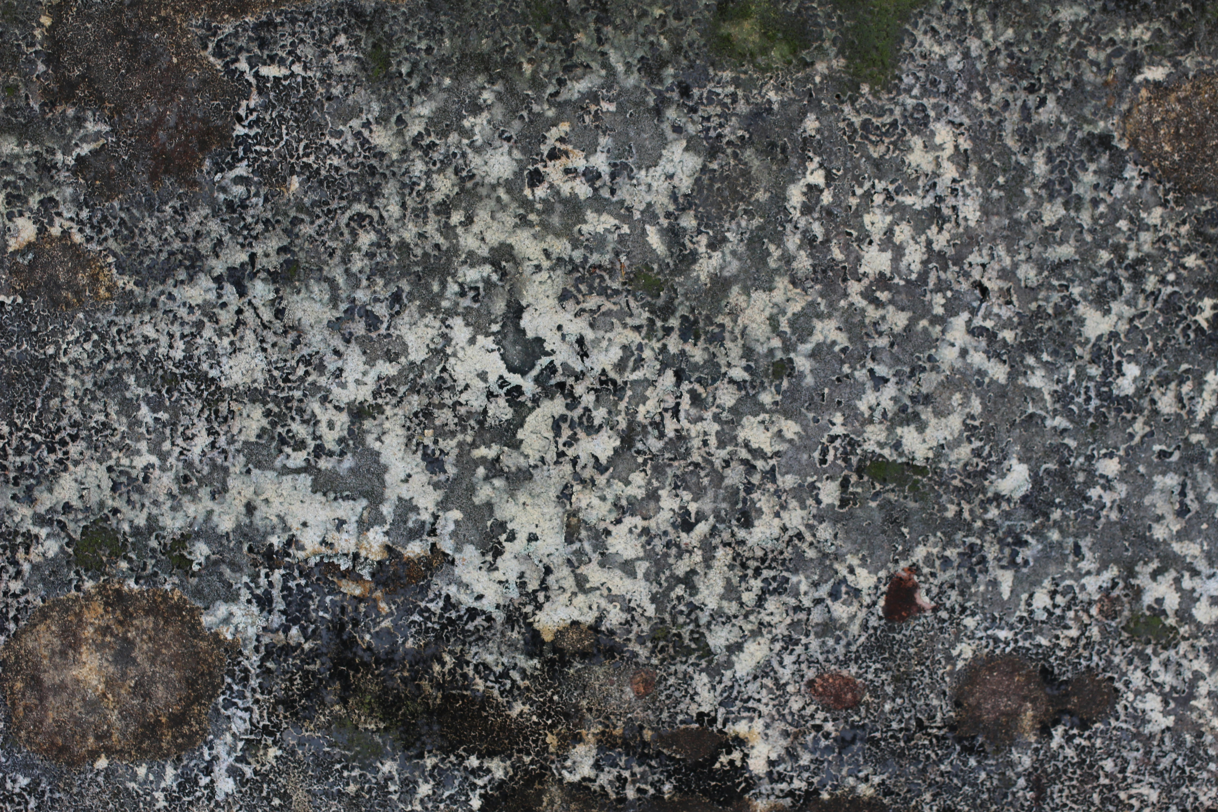 Photo by mallorcanrelish