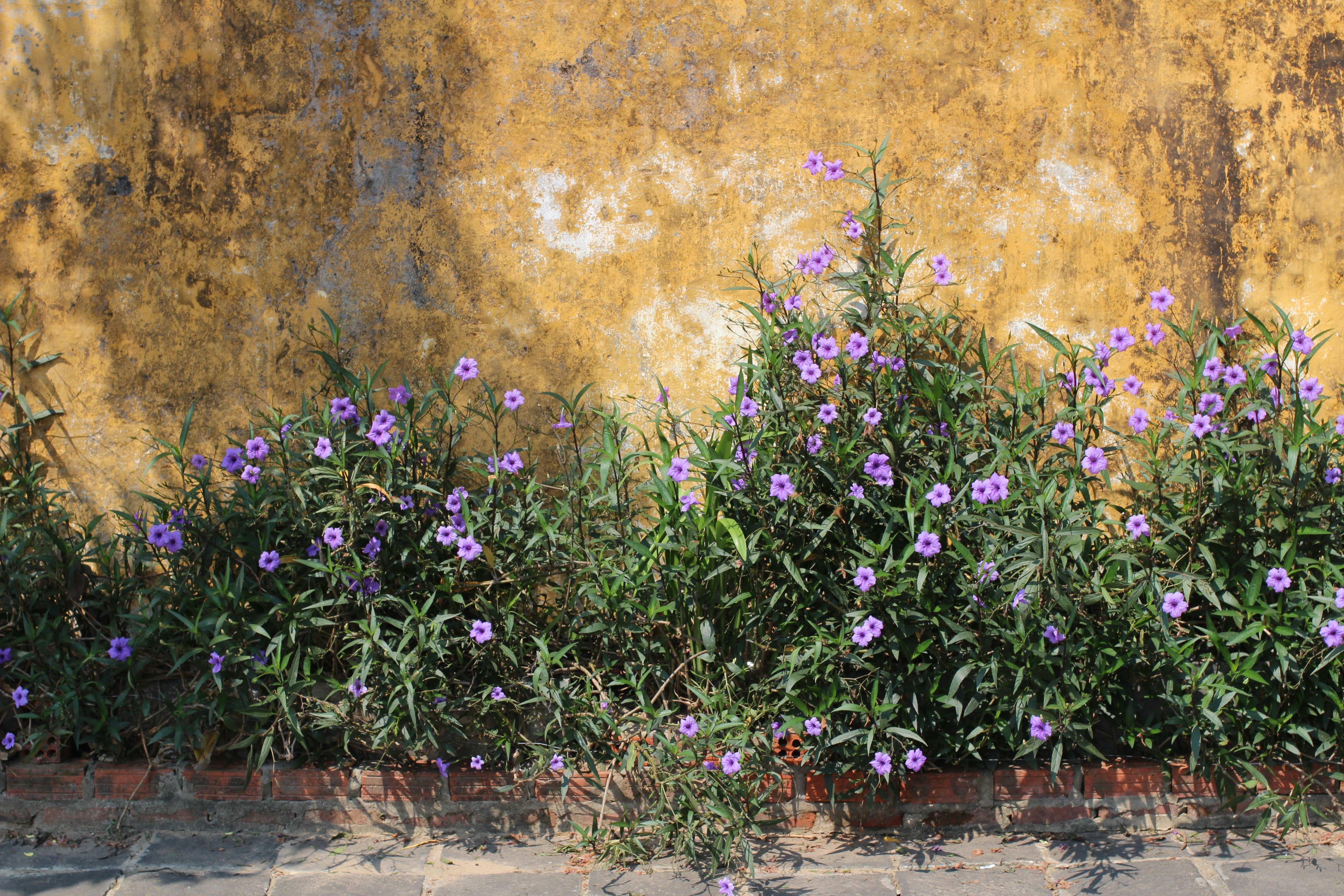 Photo by mallorcanrelish