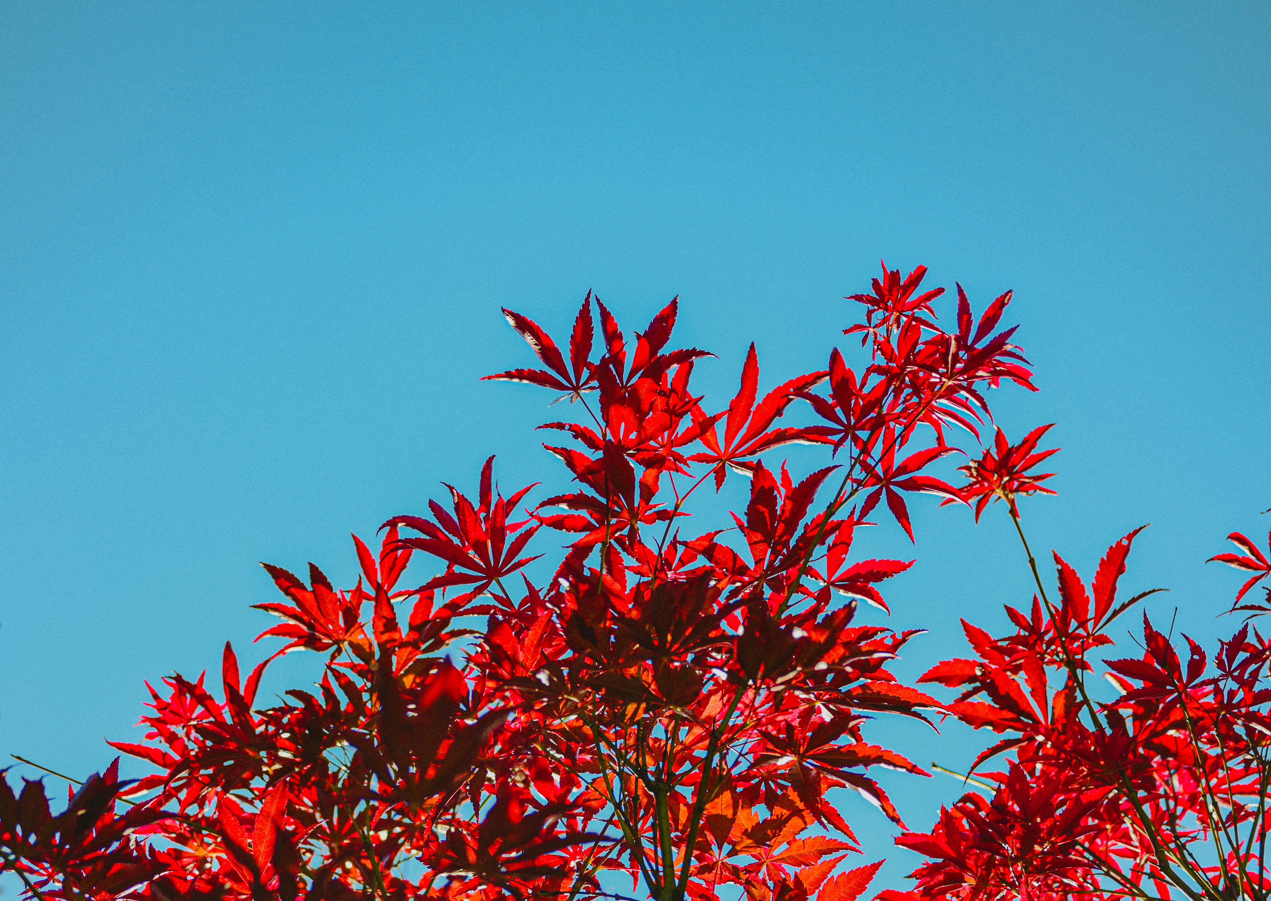 Photo by kinferiority