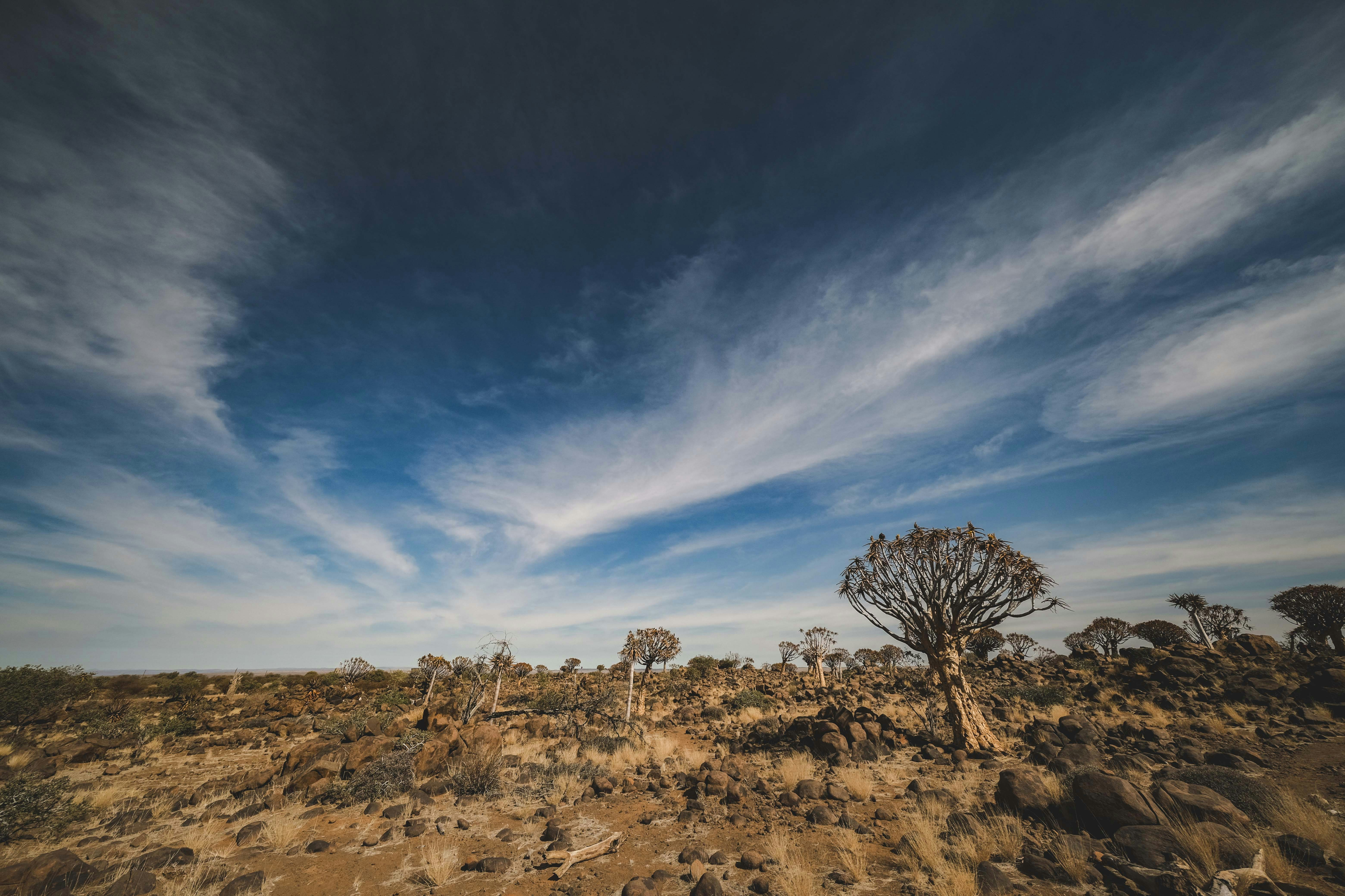 Photo by francesco_ungaro