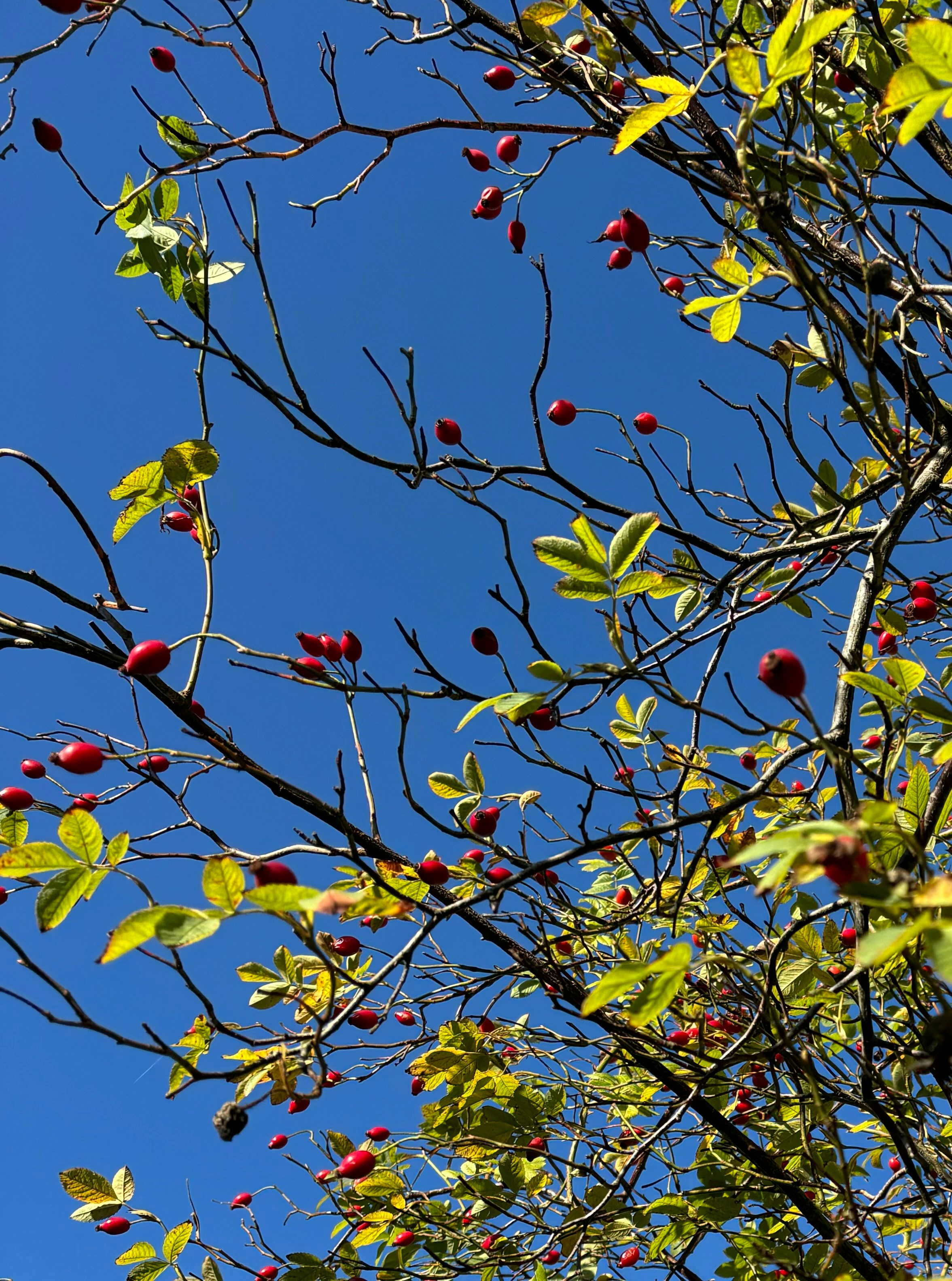 Photo by msmelaniesykes