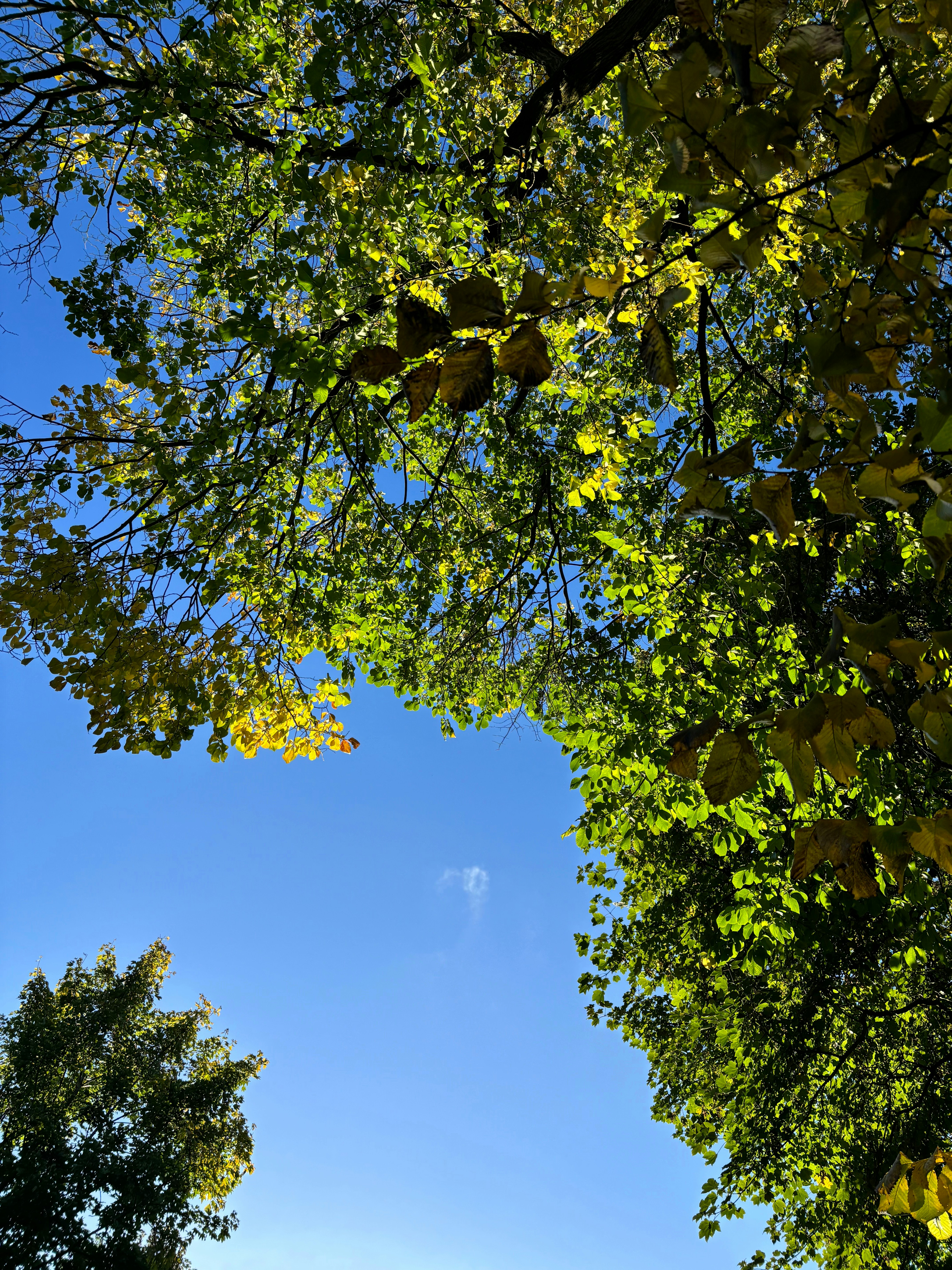 Photo by msmelaniesykes