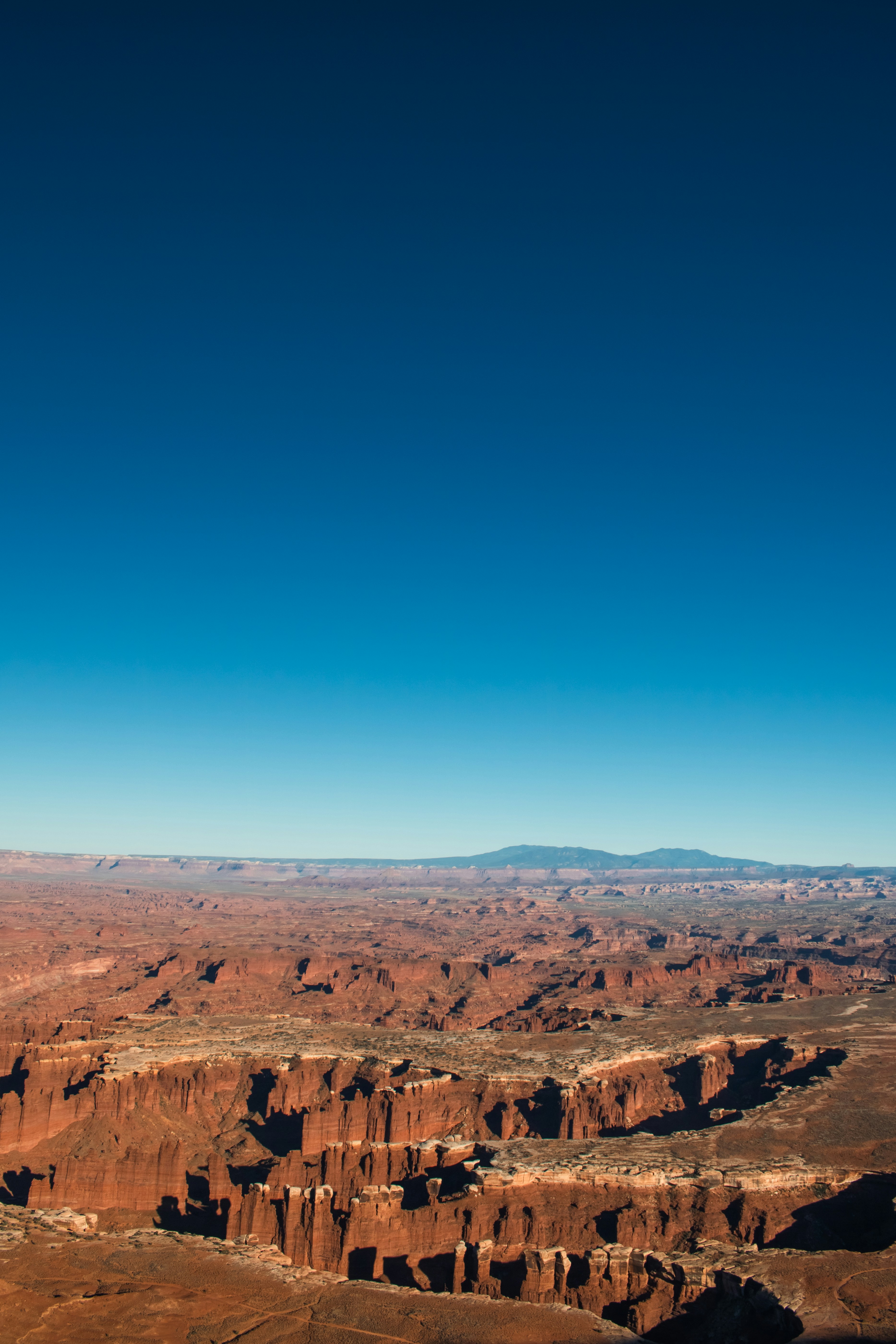 Photo by zoshuacolah