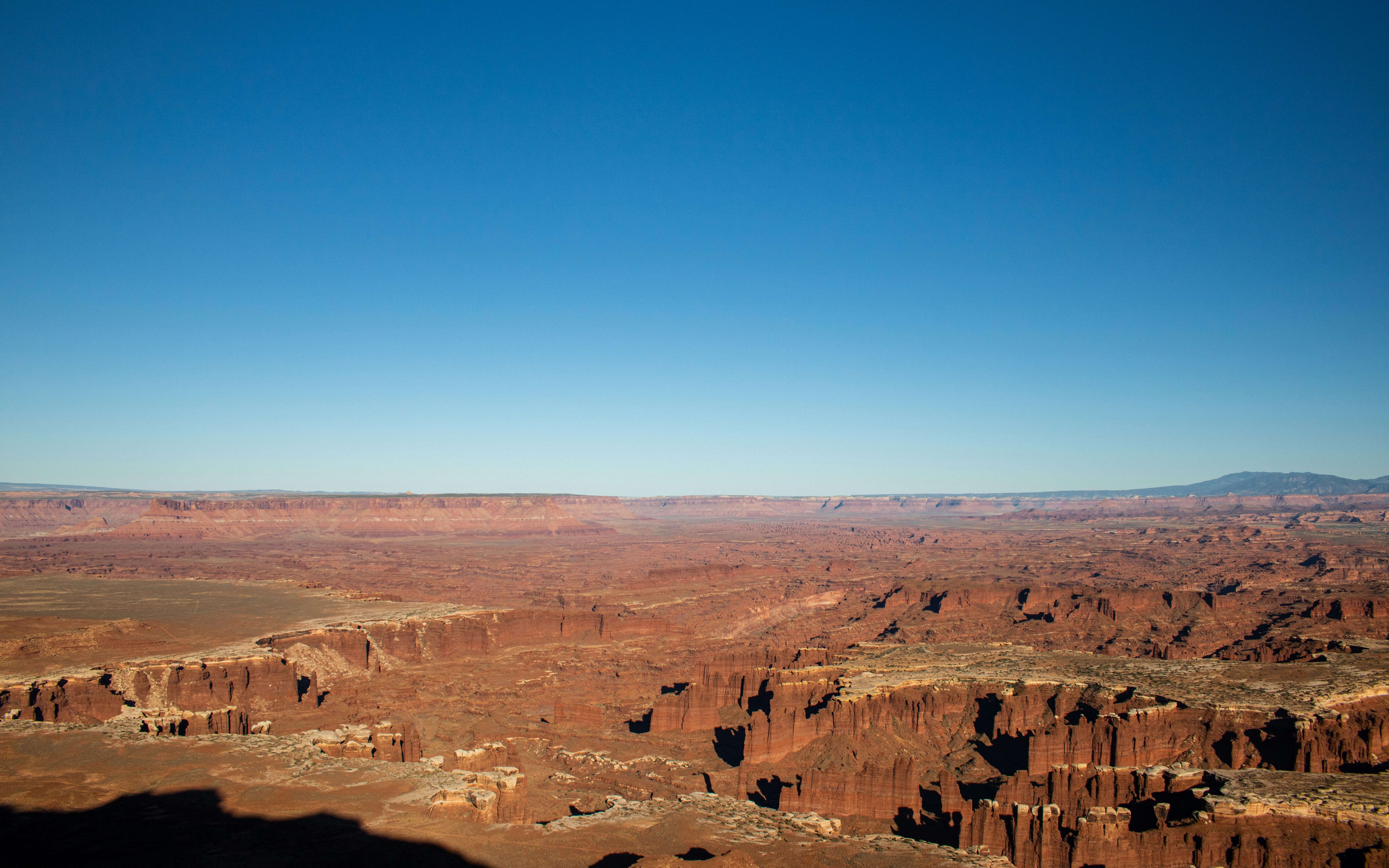 Photo by zoshuacolah