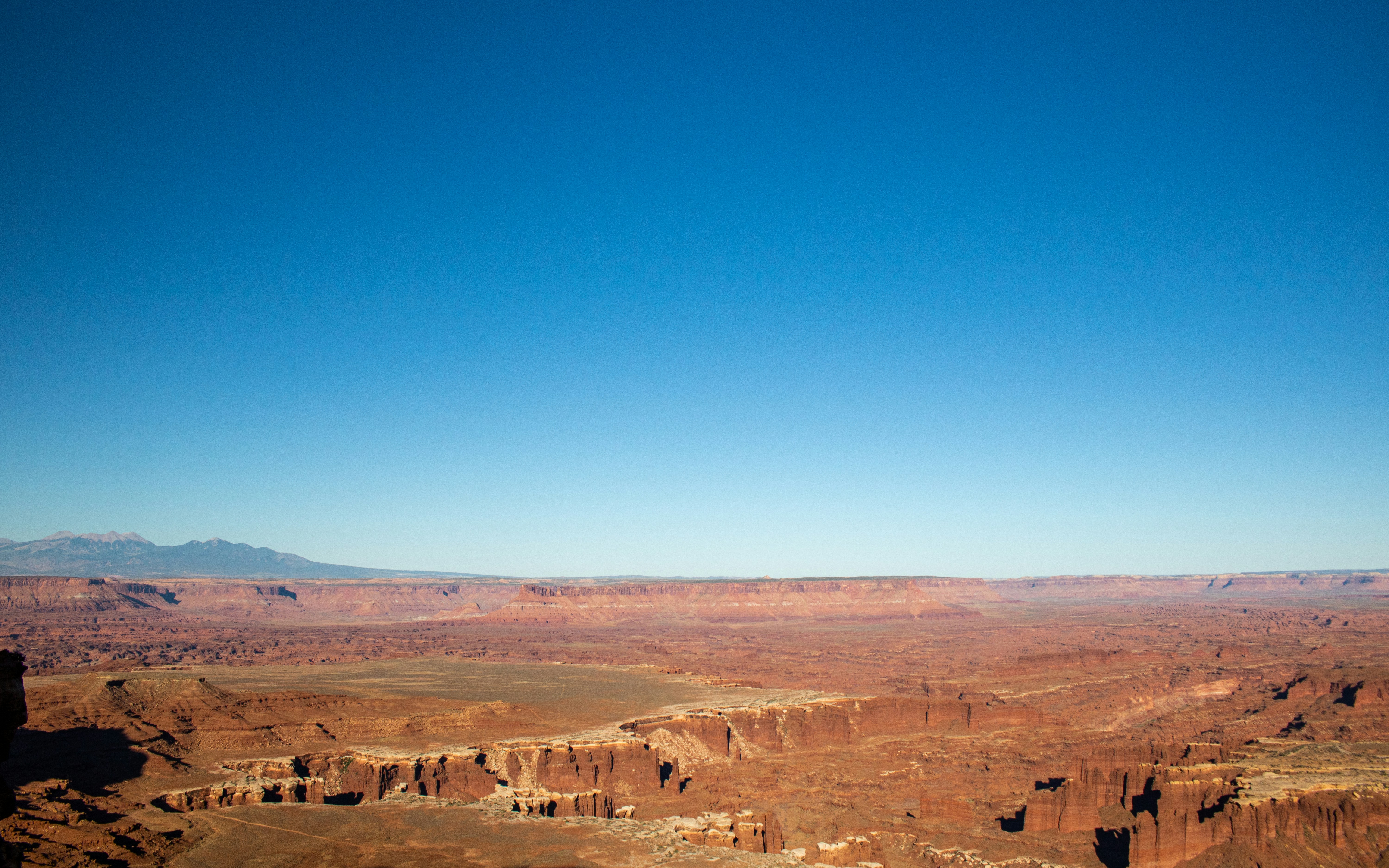 Photo by zoshuacolah