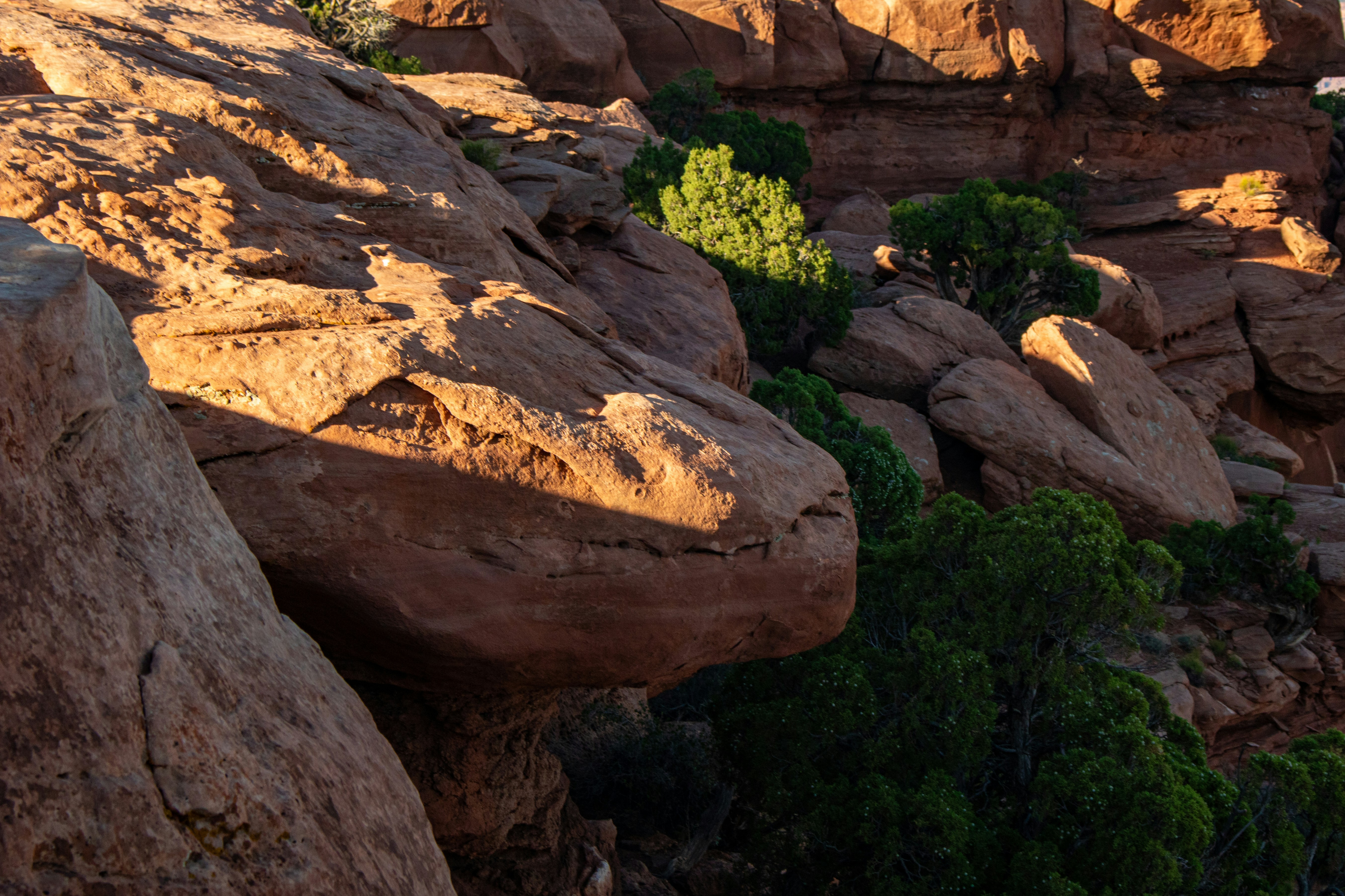 Photo by zoshuacolah