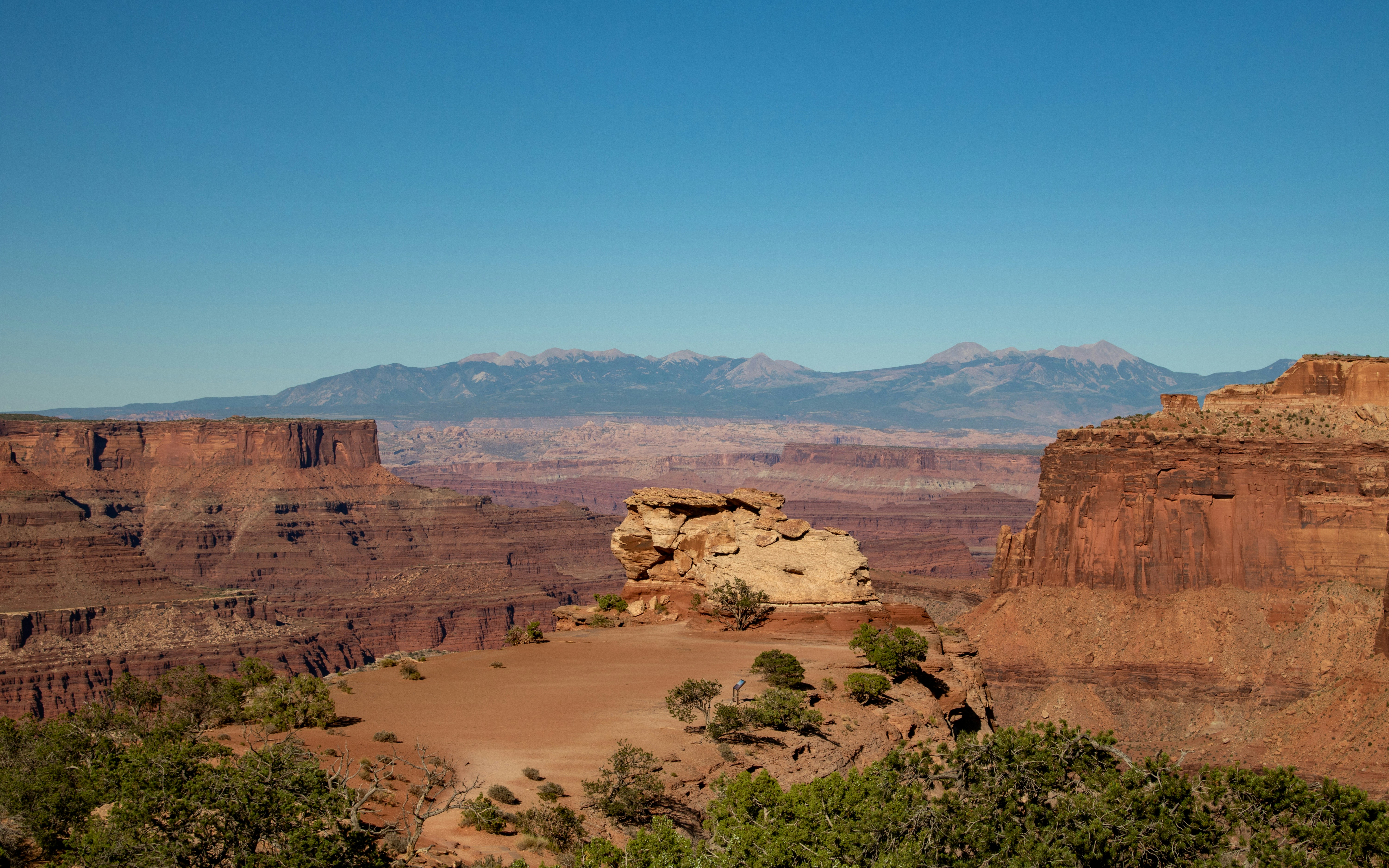 Photo by zoshuacolah