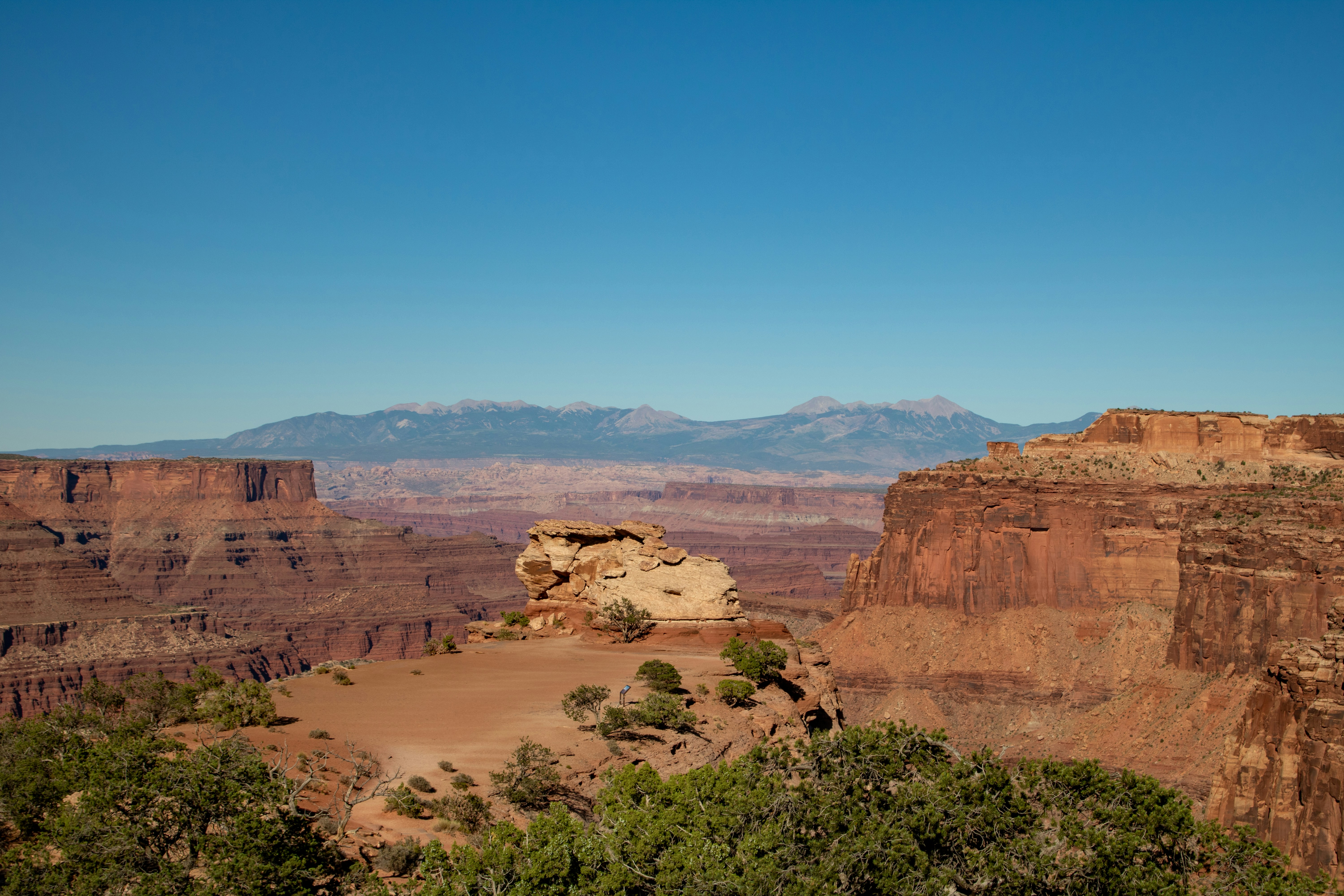 Photo by zoshuacolah