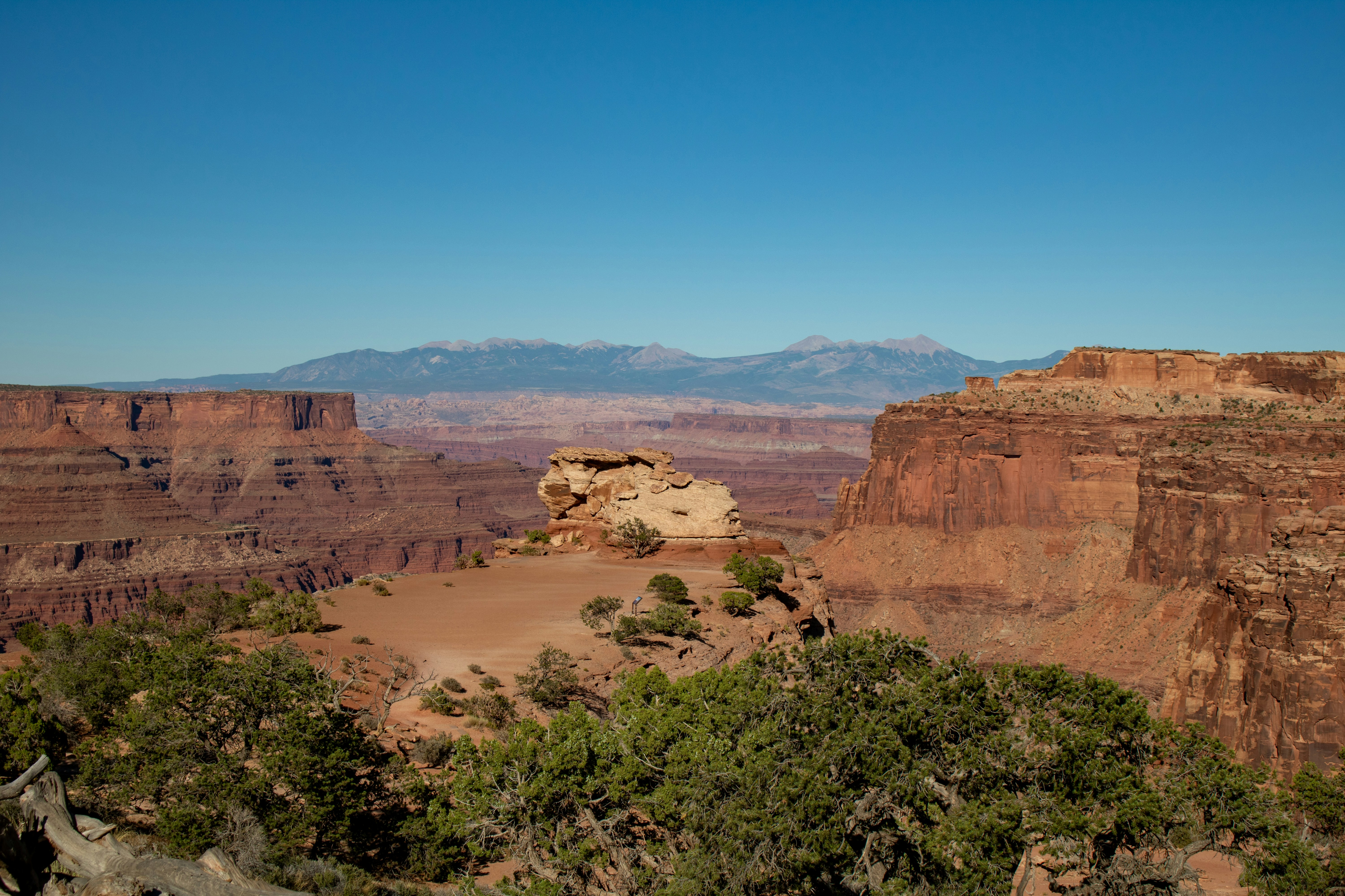 Photo by zoshuacolah