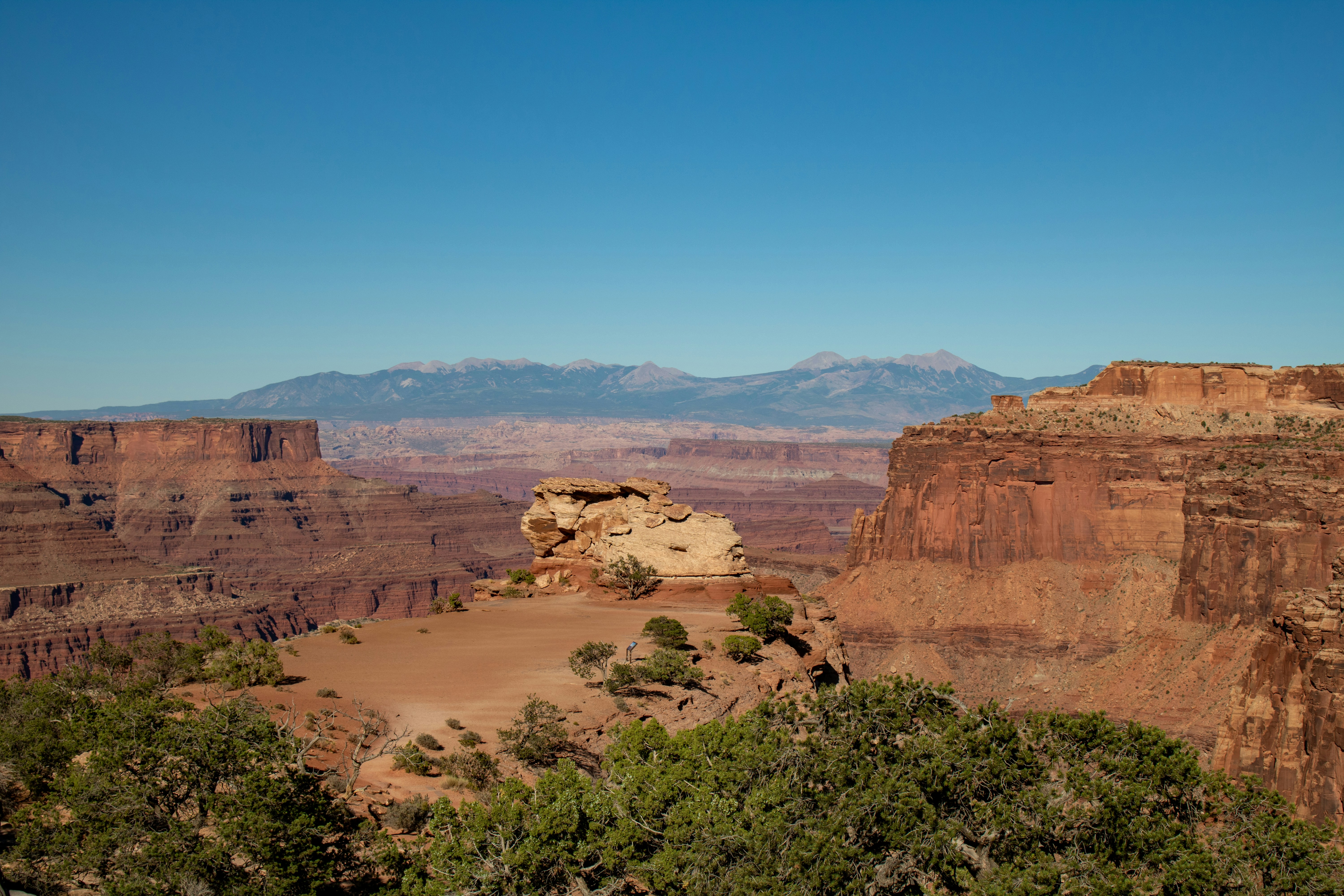 Photo by zoshuacolah