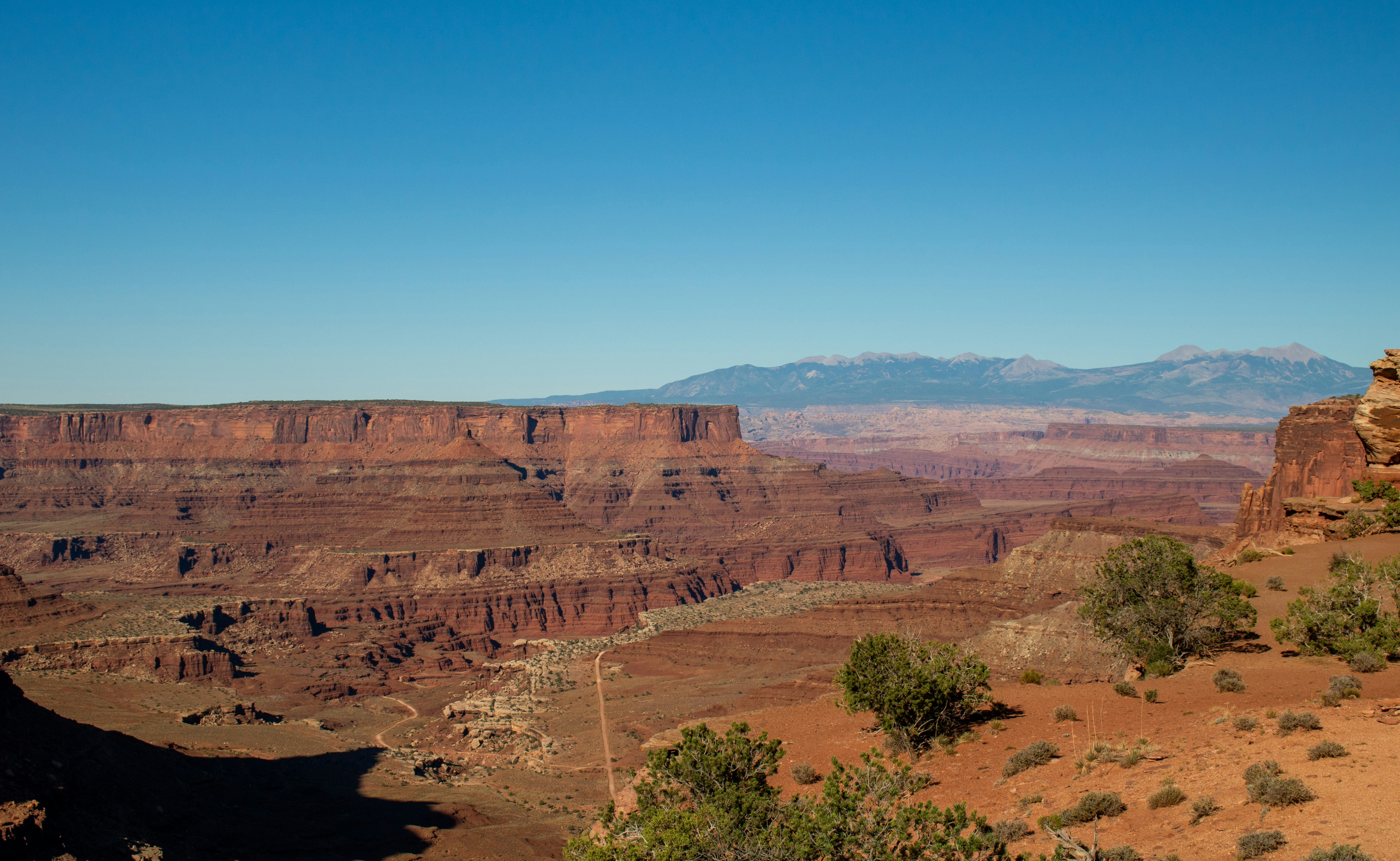 Photo by zoshuacolah