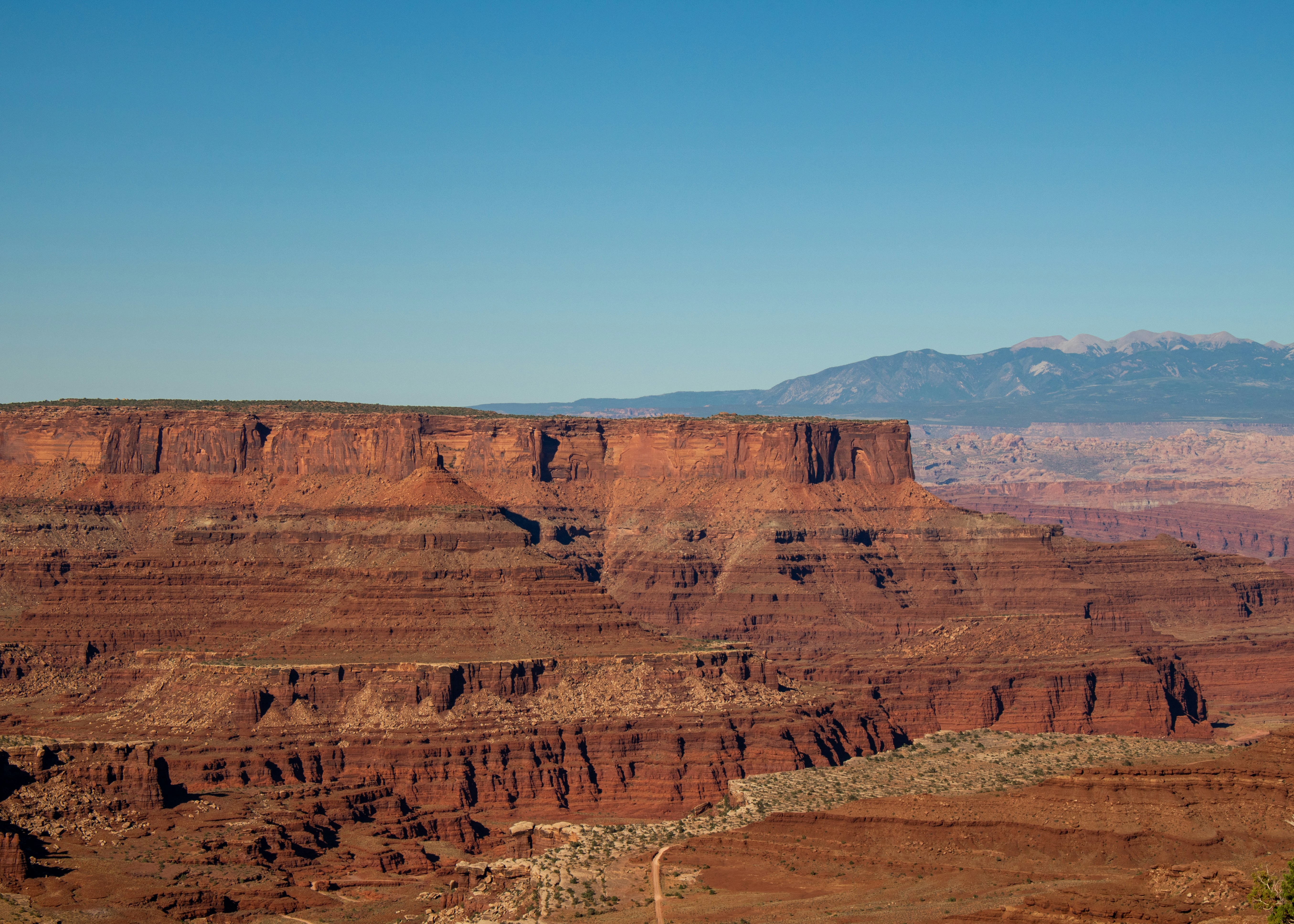 Photo by zoshuacolah