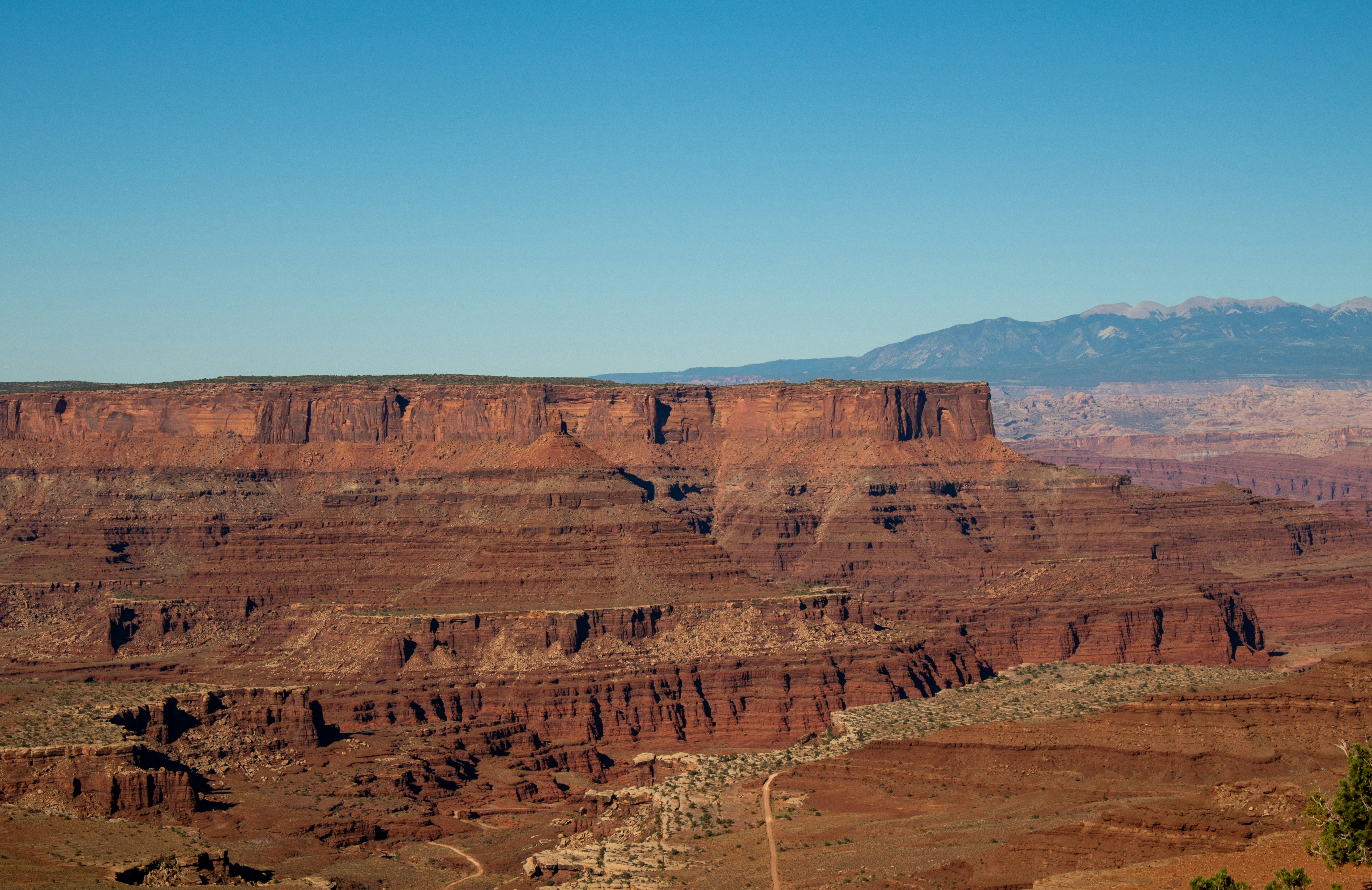 Photo by zoshuacolah