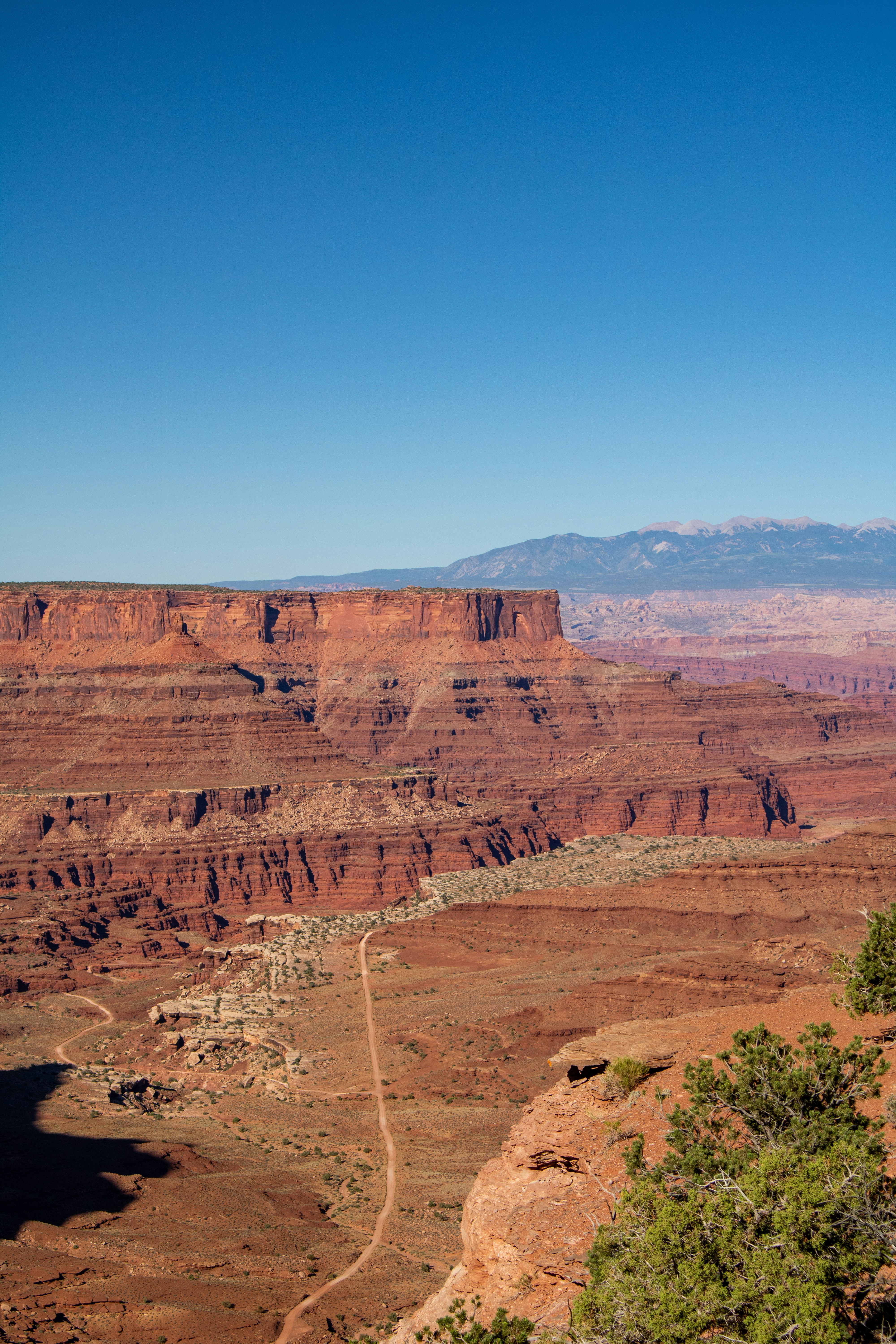 Photo by zoshuacolah