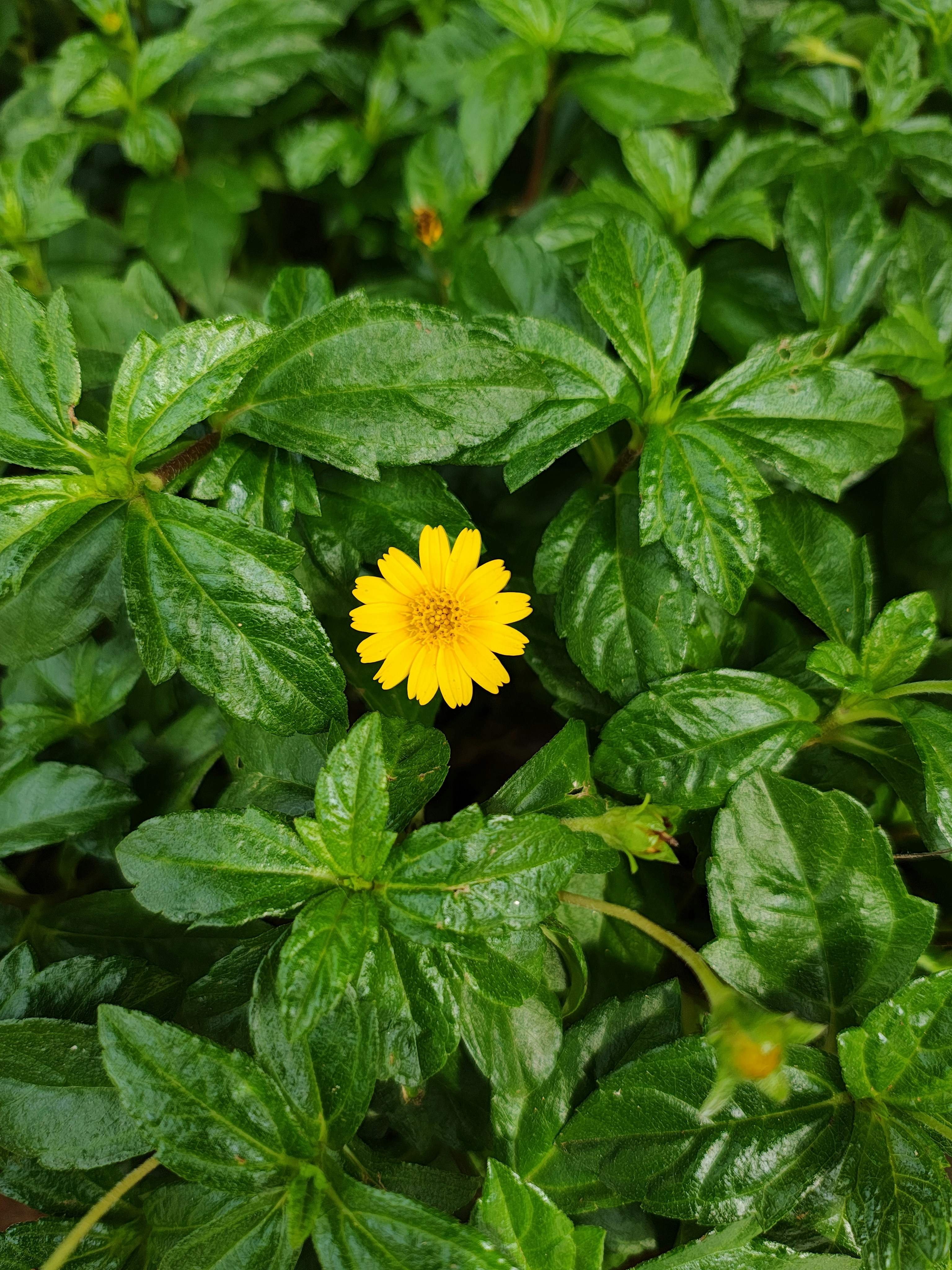 Photo by heeraharini