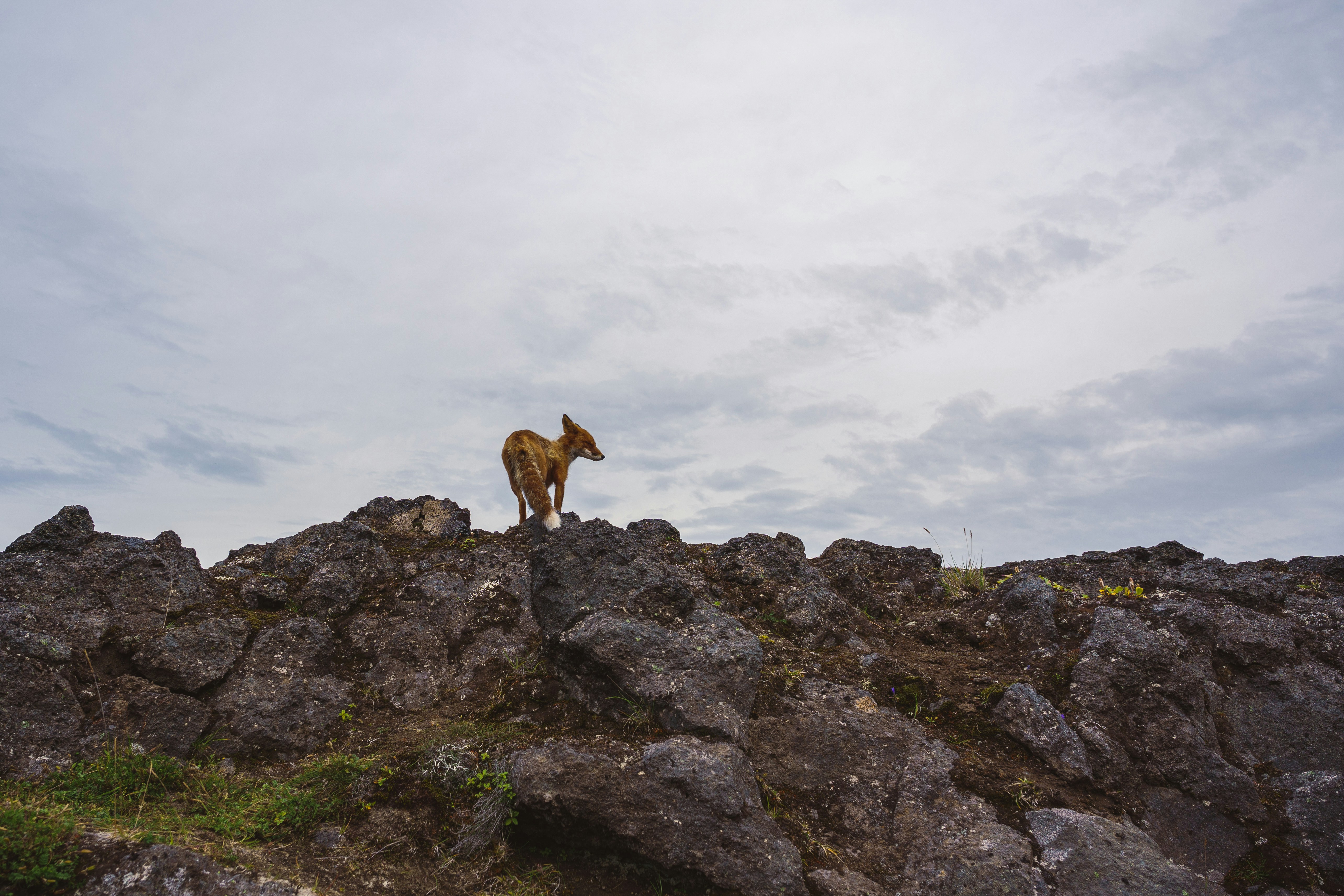 Photo by mirrors_are_more_fun