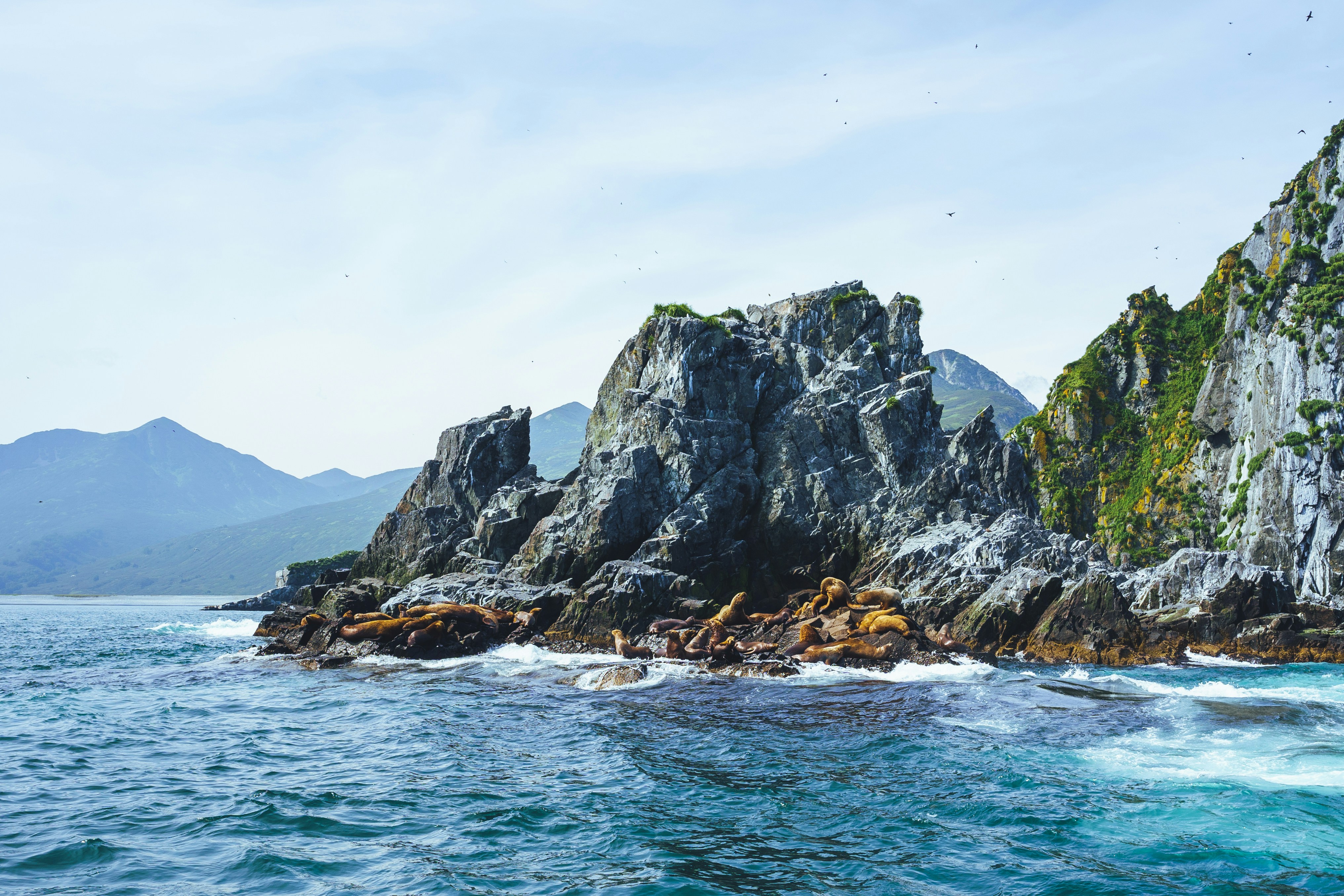 Photo by mirrors_are_more_fun