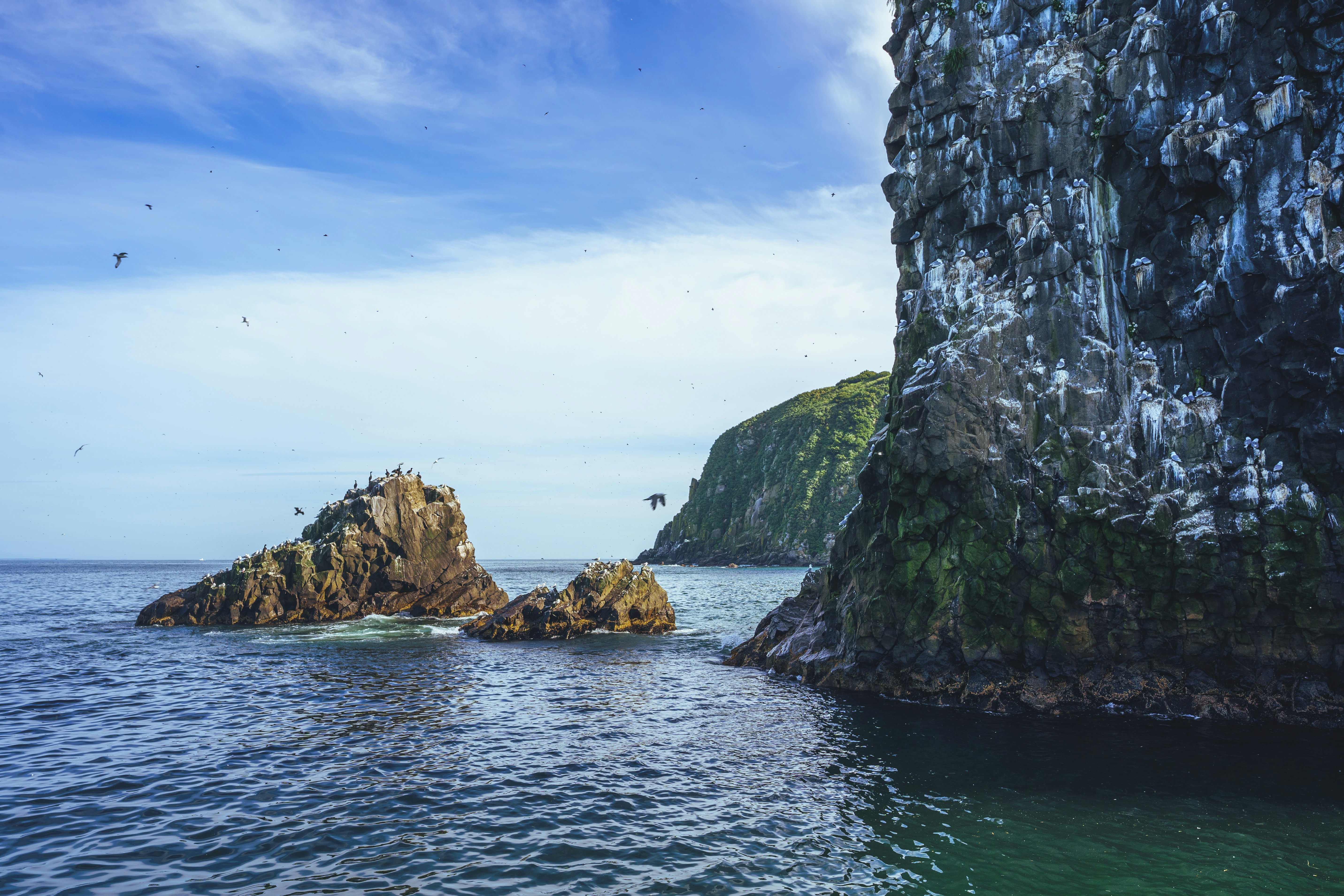 Photo by mirrors_are_more_fun