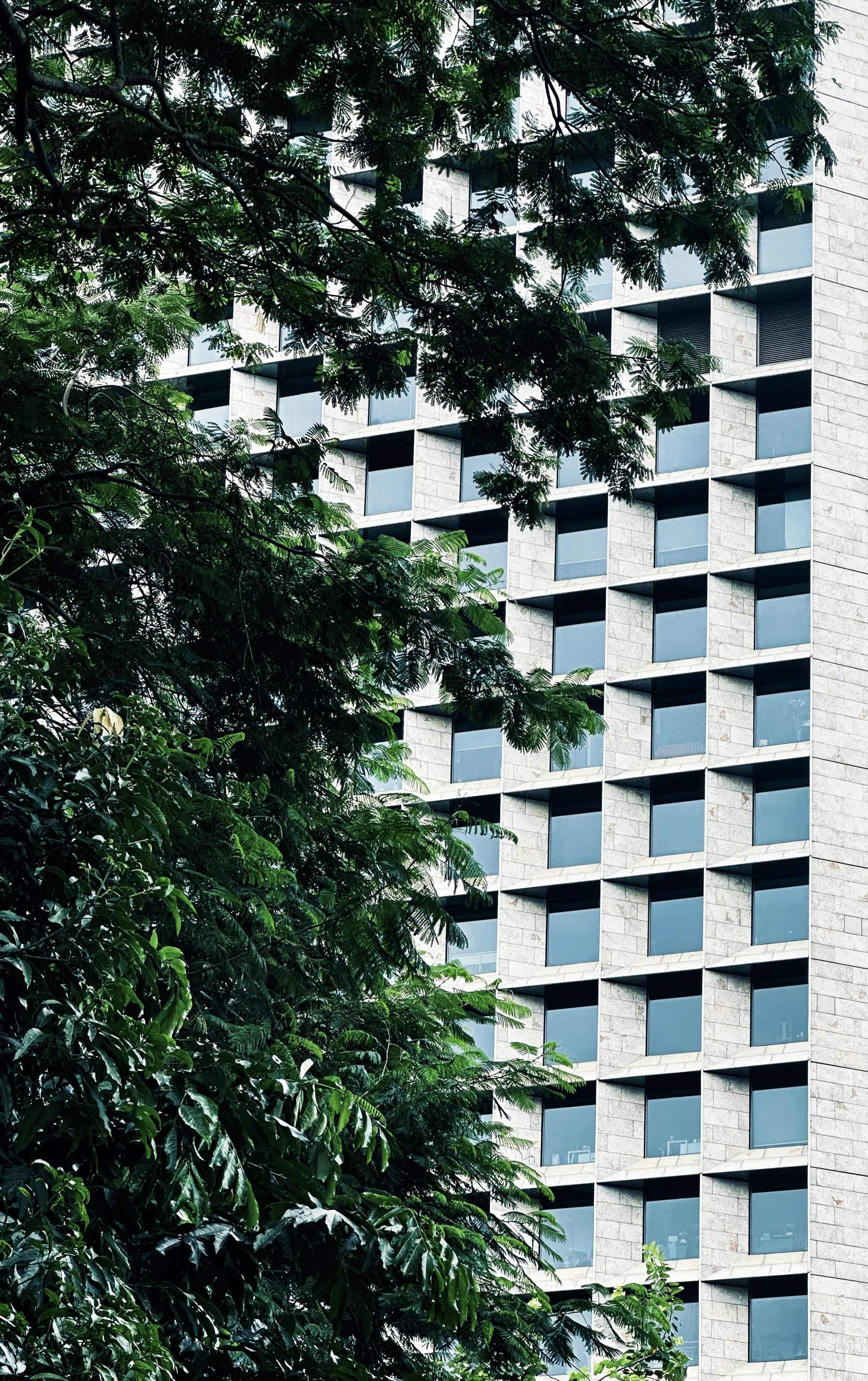 Photo by edward_cchou