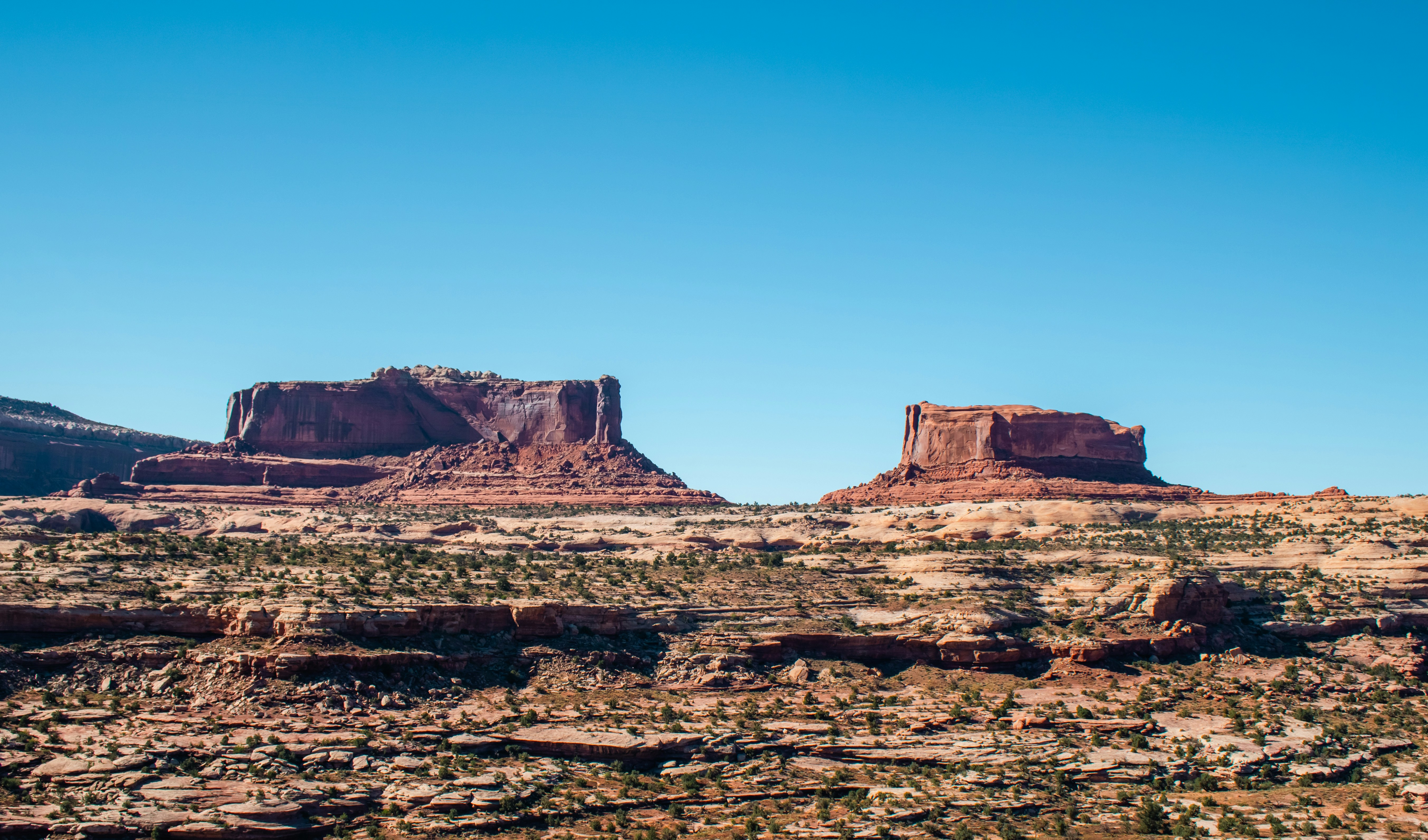 Photo by zoshuacolah