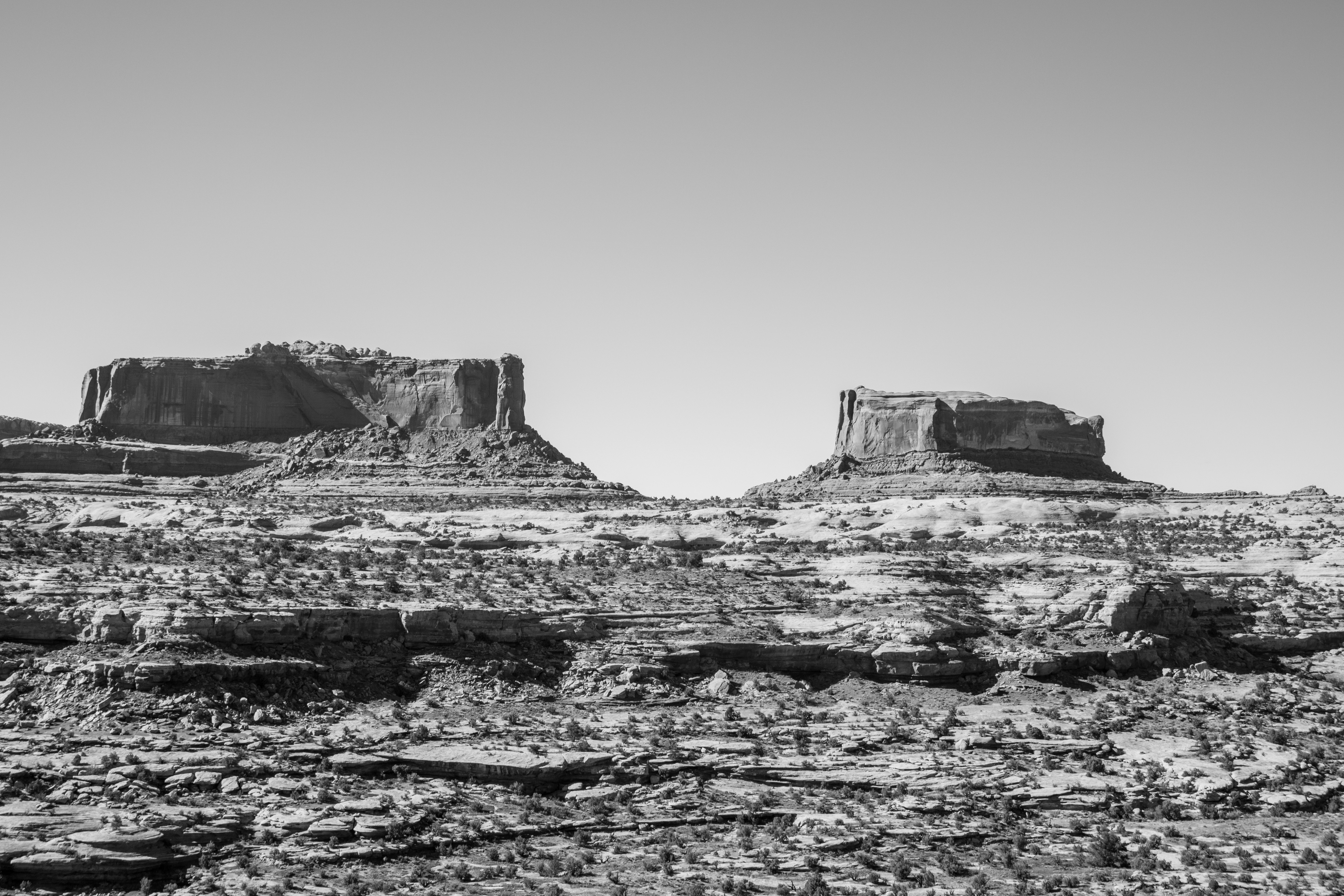 Photo by zoshuacolah