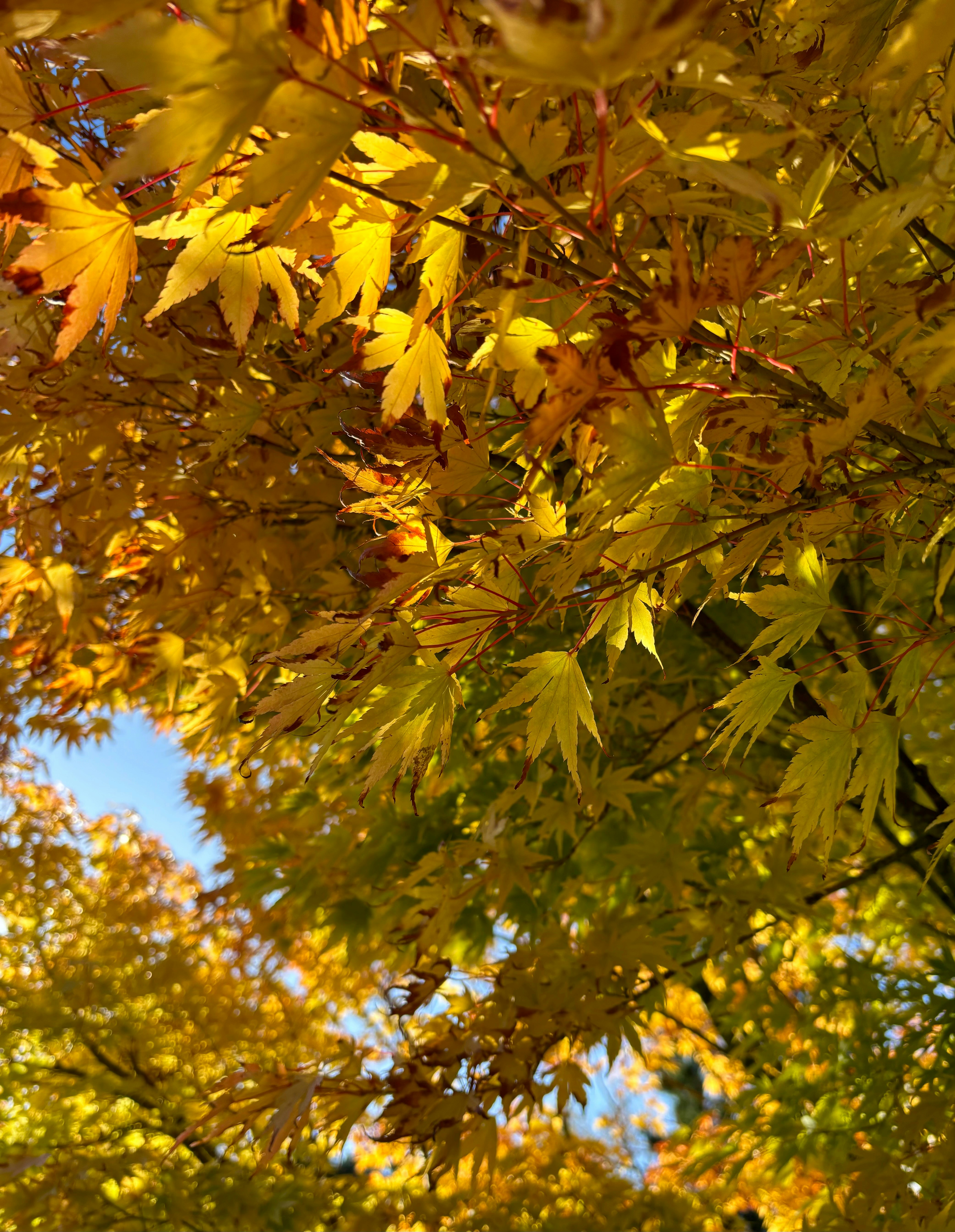 Photo by msmelaniesykes