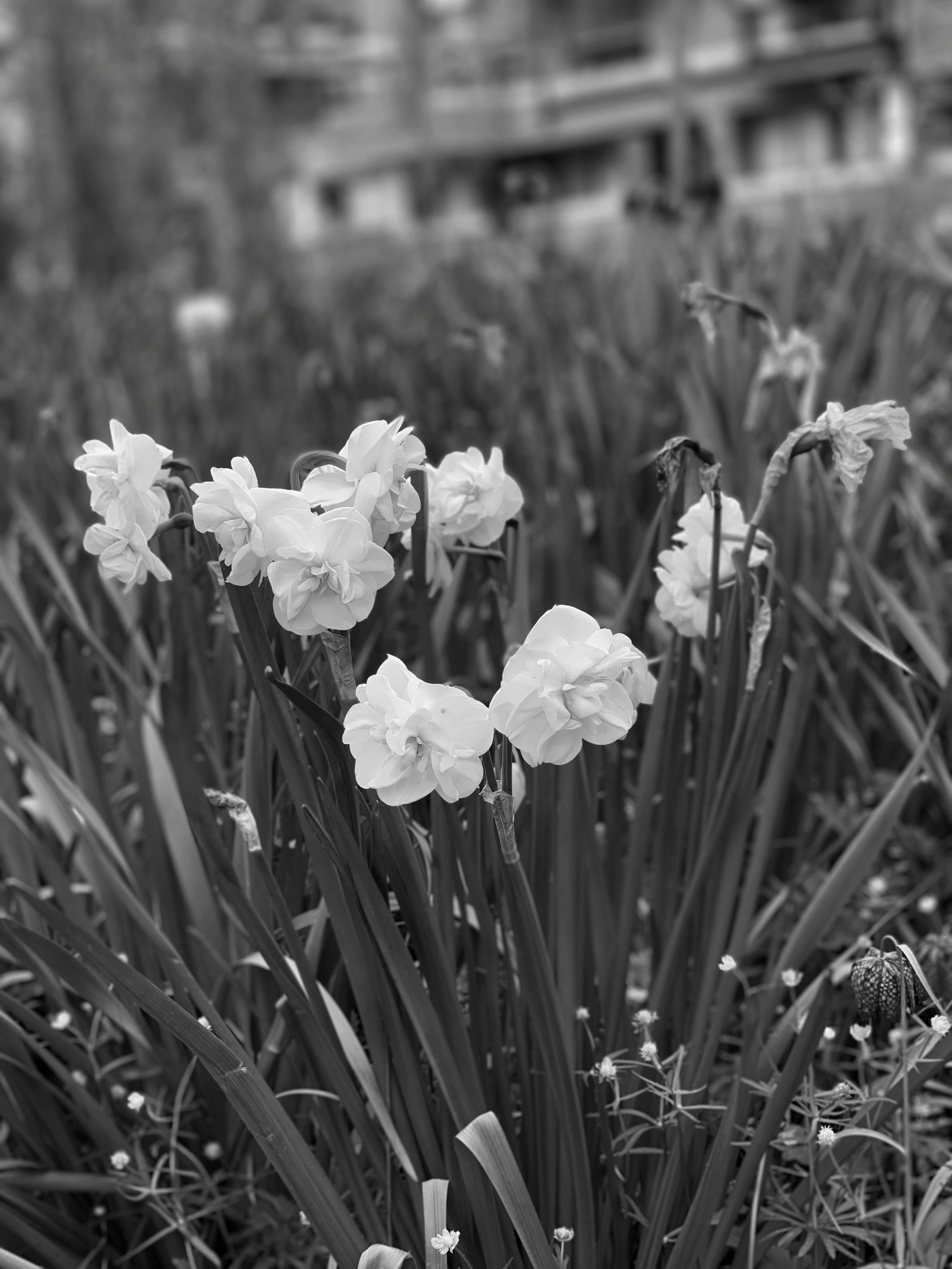 Photo by madebygauss