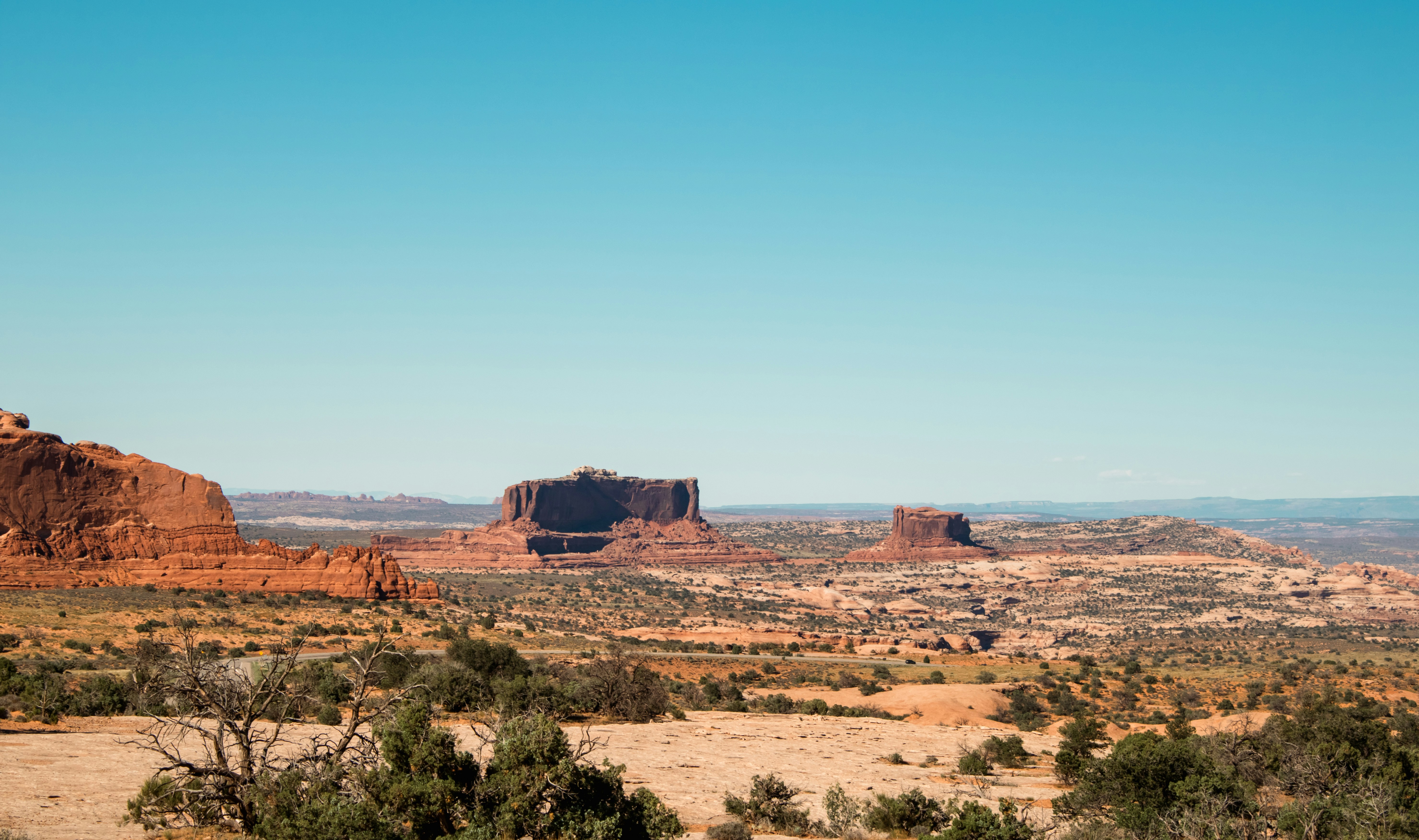 Photo by zoshuacolah