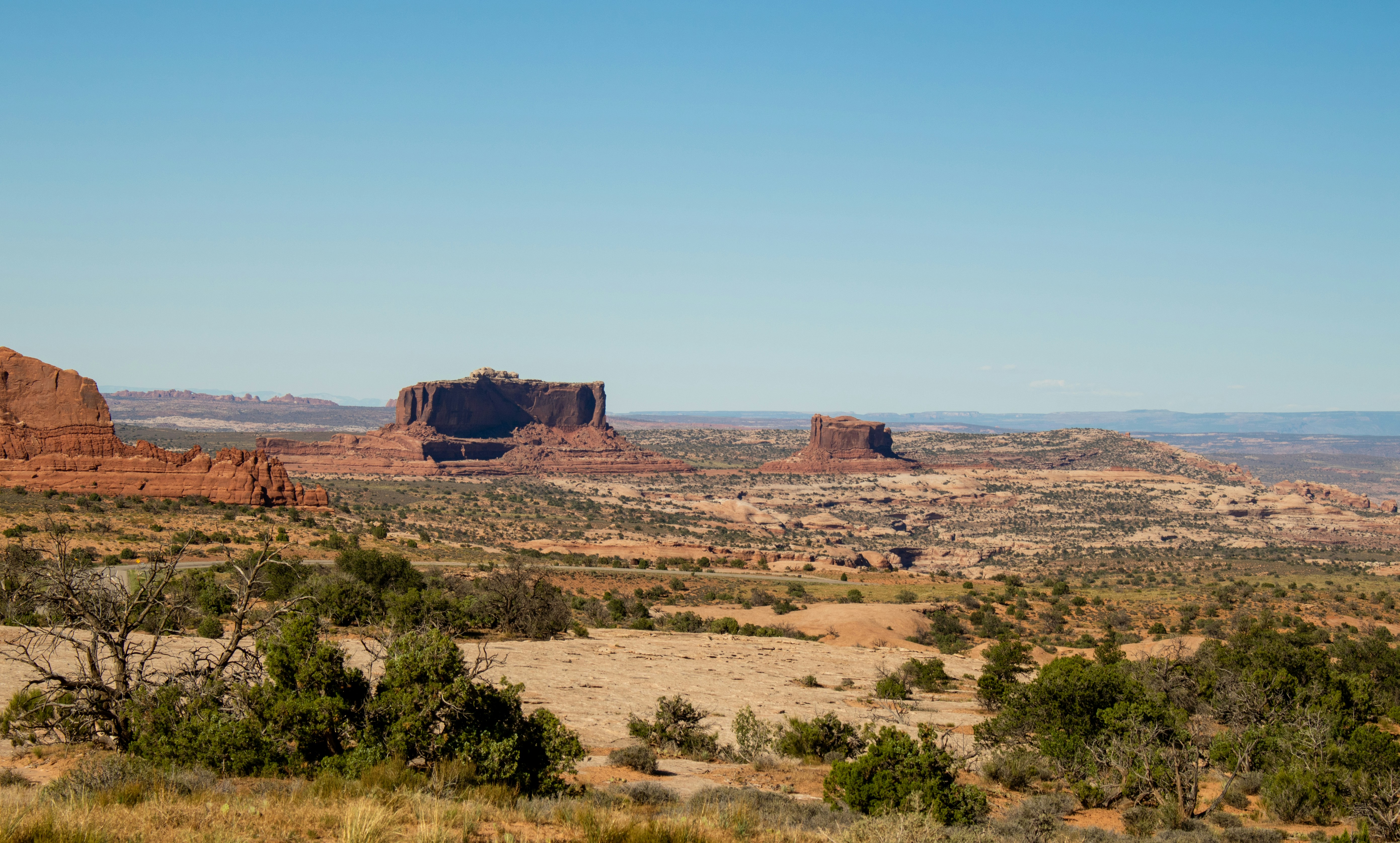 Photo by zoshuacolah