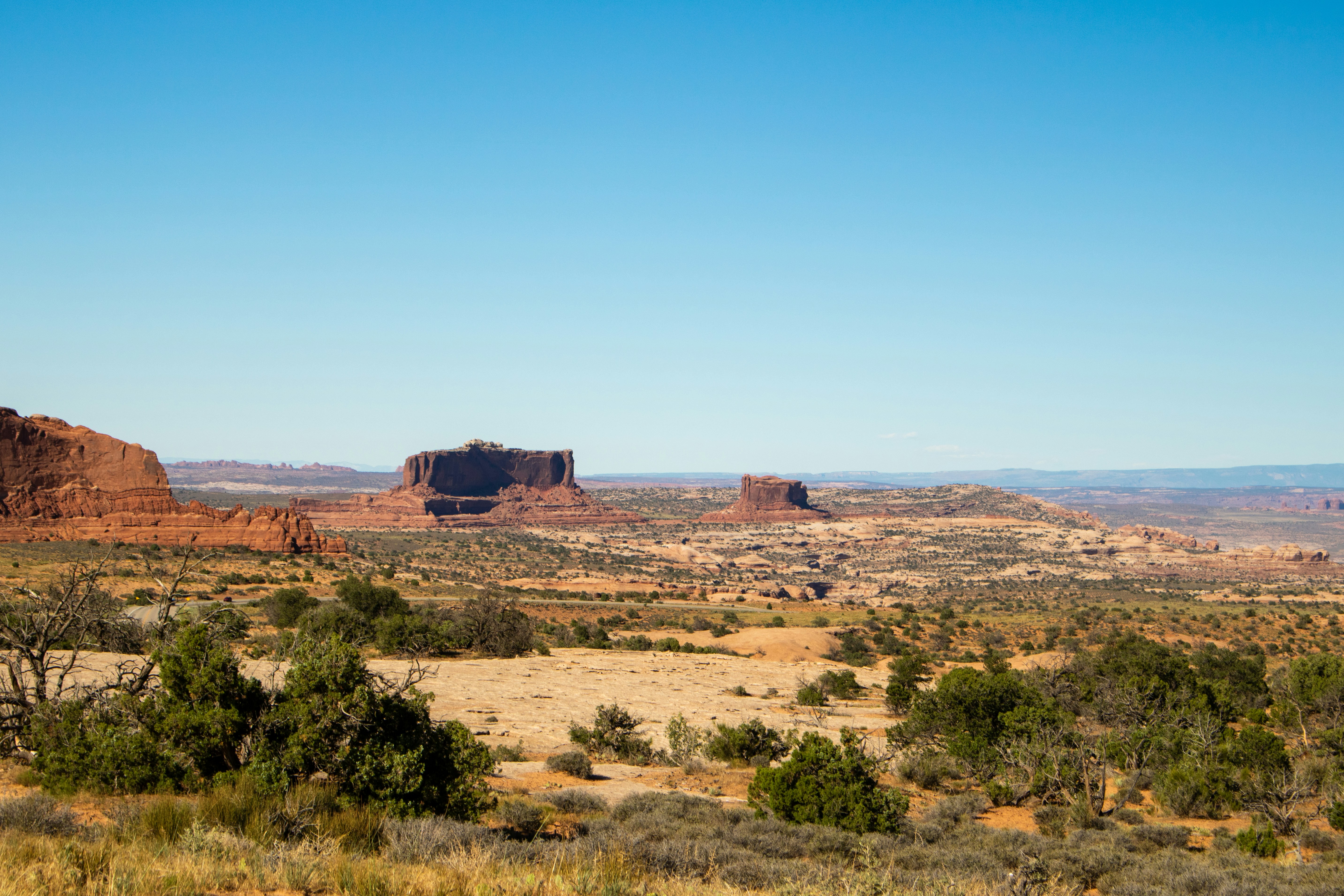 Photo by zoshuacolah