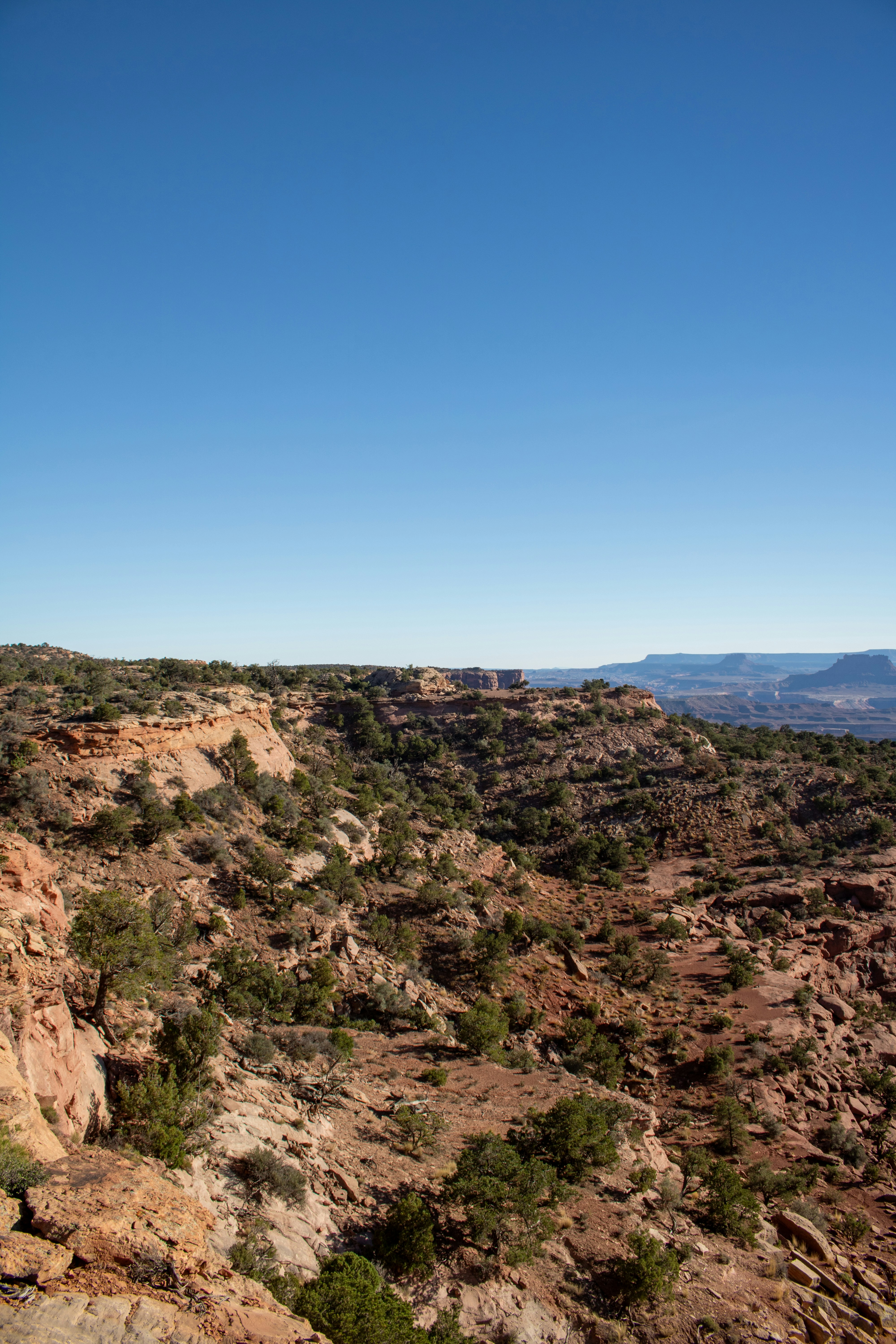 Photo by zoshuacolah