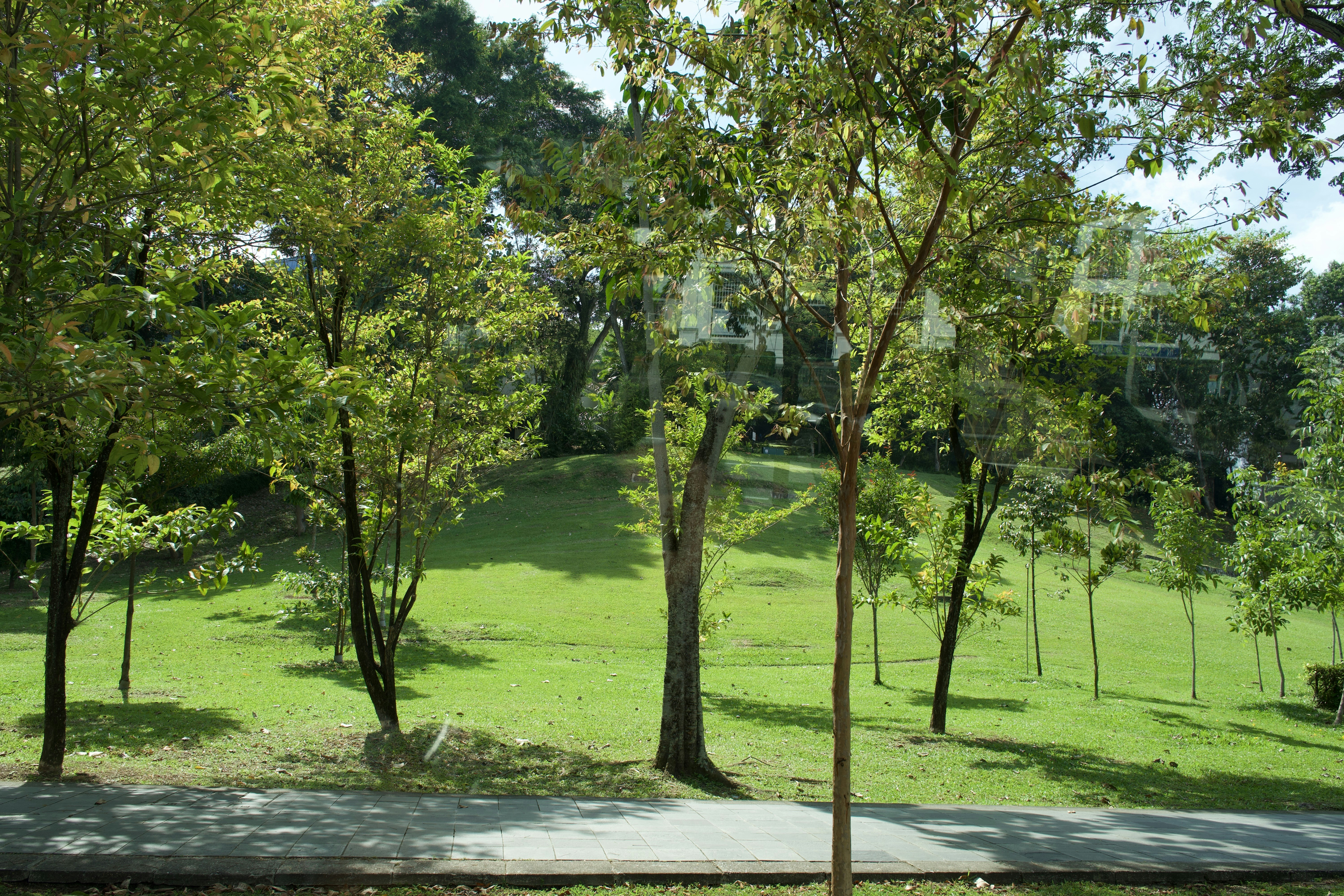 Photo by rahuldesignweb3